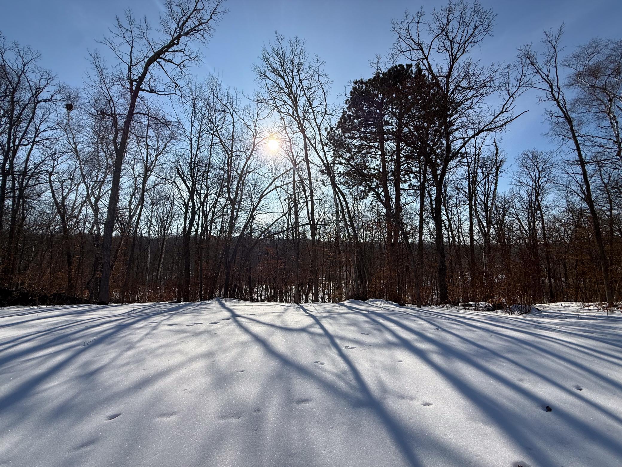 1980 land for sale at 23847 Arcade Loop in Menahga, MN (photo 43 of 43)