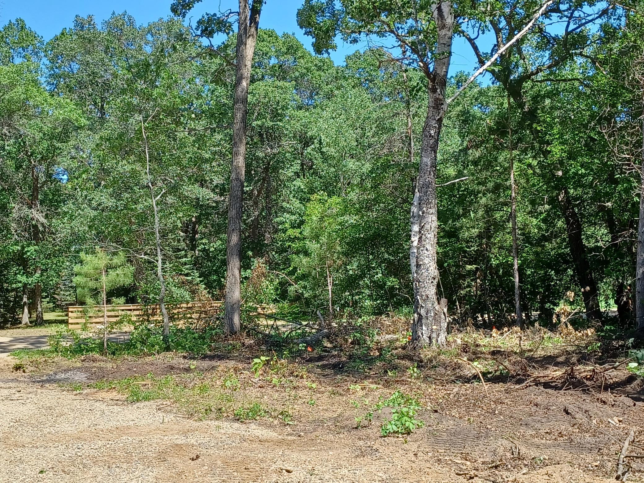1980 land for sale at 23847 Arcade Loop in Menahga, MN (photo 8 of 43)