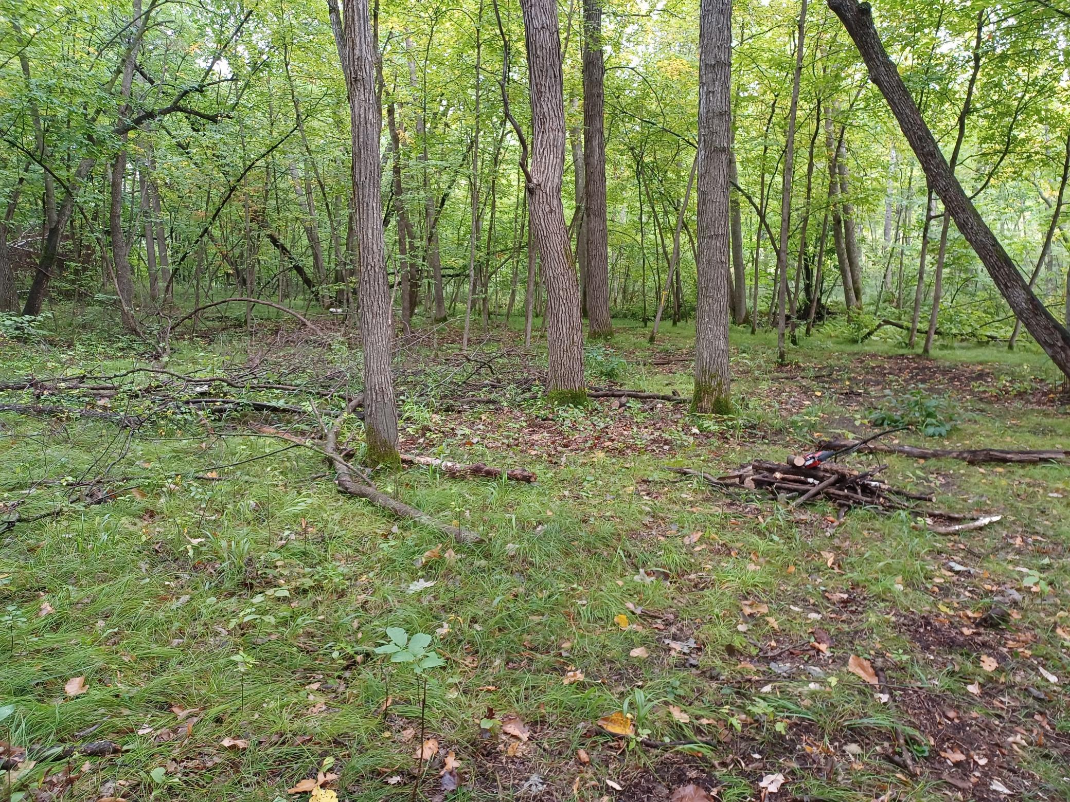 1980 land for sale at 23847 Arcade Loop in Menahga, MN (photo 9 of 43)