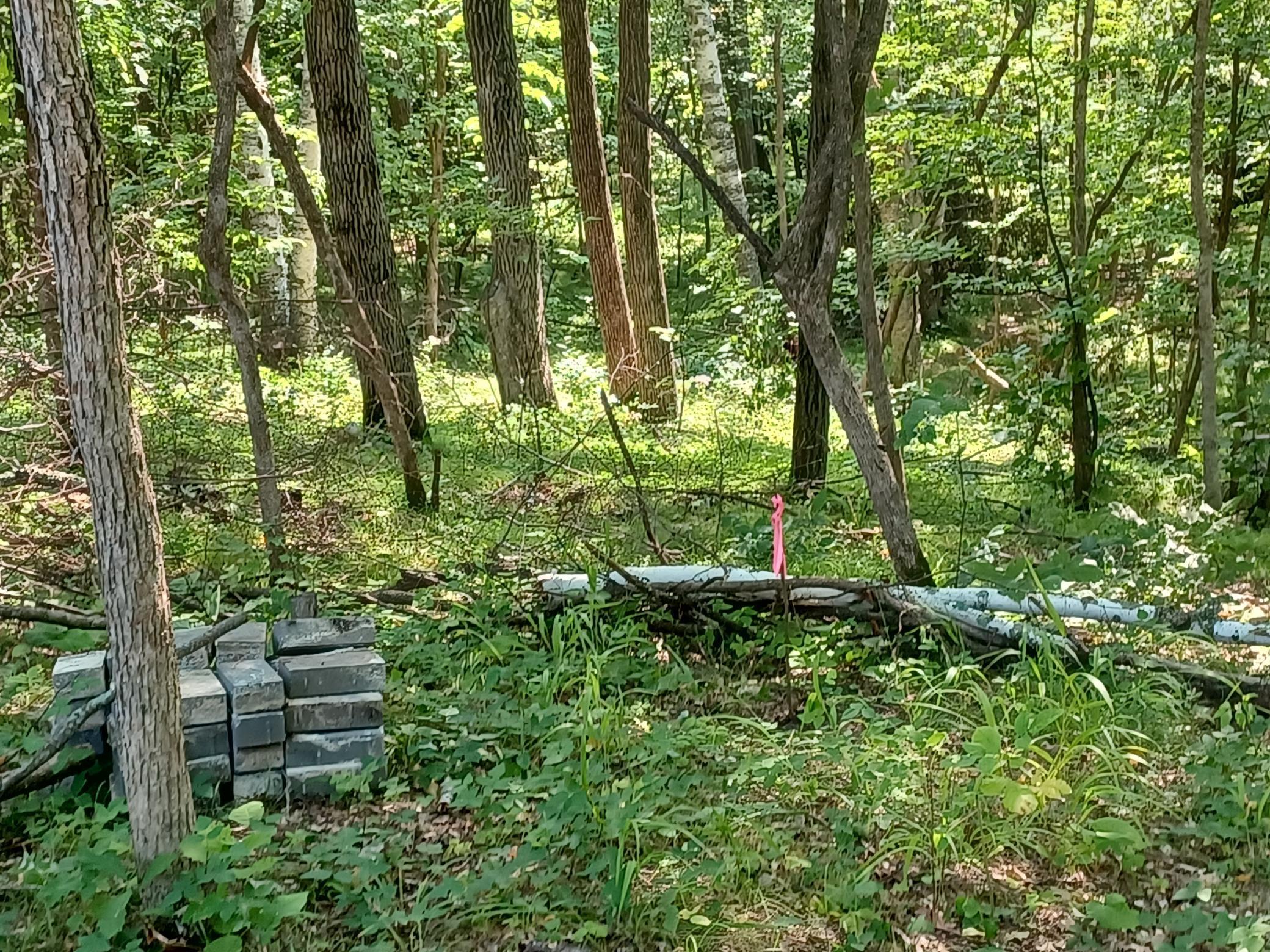 1980 land for sale at 23847 Arcade Loop in Menahga, MN (photo 10 of 43)