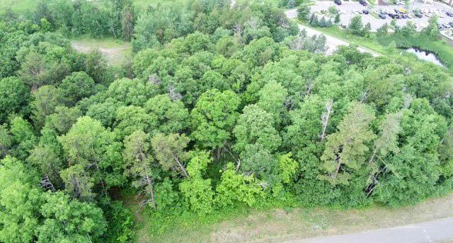 land for sale at TBD Excelsior Road in Baxter, MN (photo 8 of 9)