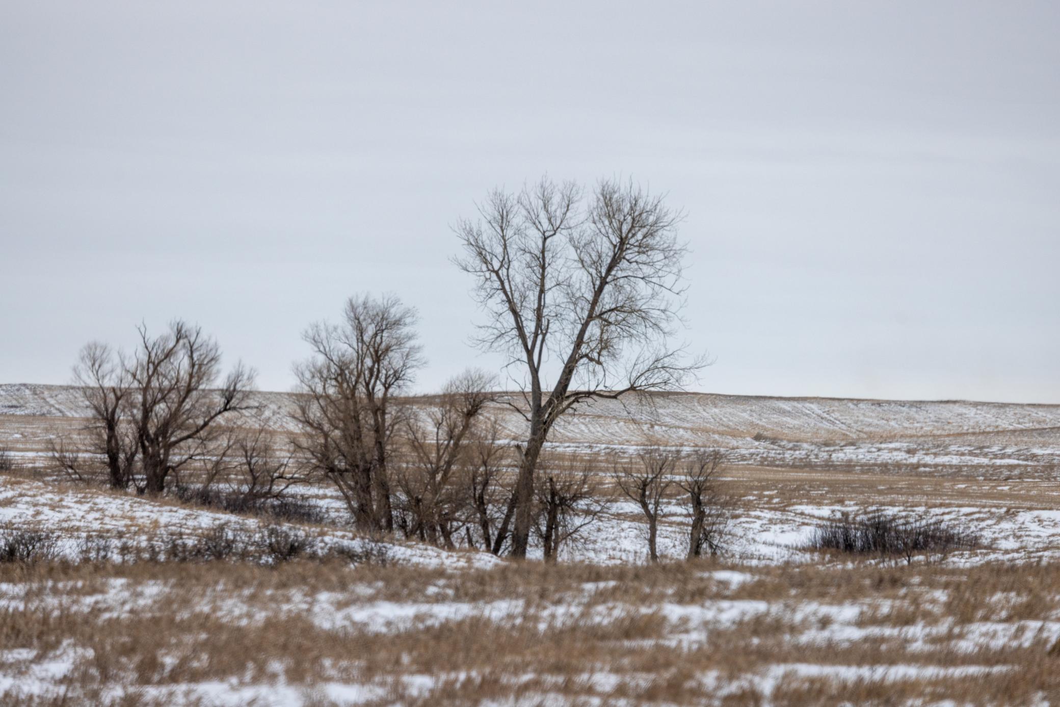land for sale at TBD 49 St SW 212a in Hebron, ND (photo 16 of 47)