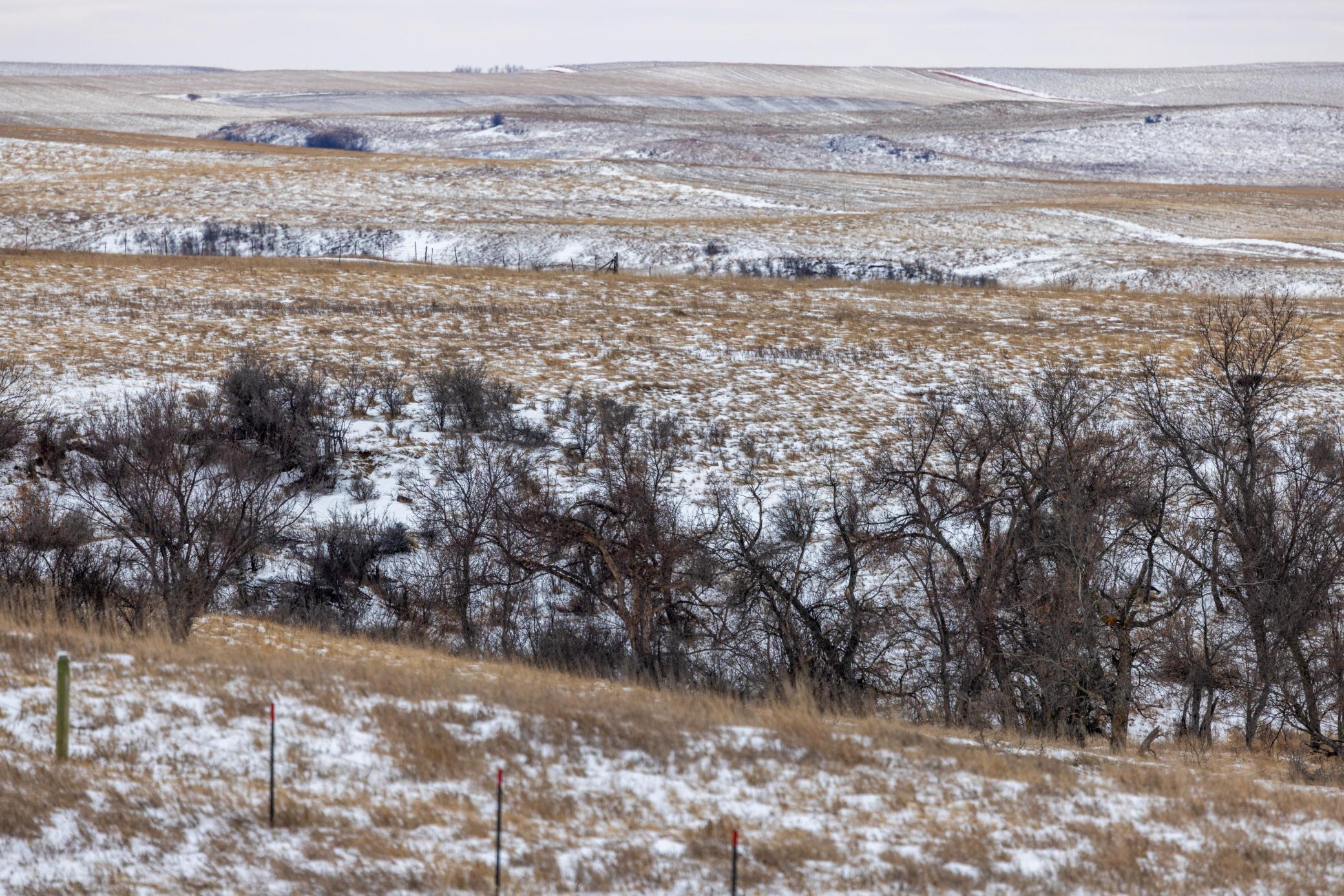 land for sale at TBD 49 St SW 212a in Hebron, ND (photo 17 of 47)