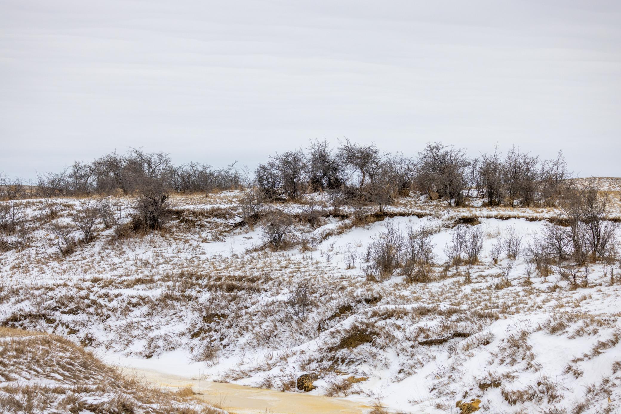 land for sale at TBD 49 St SW 212a in Hebron, ND (photo 20 of 47)