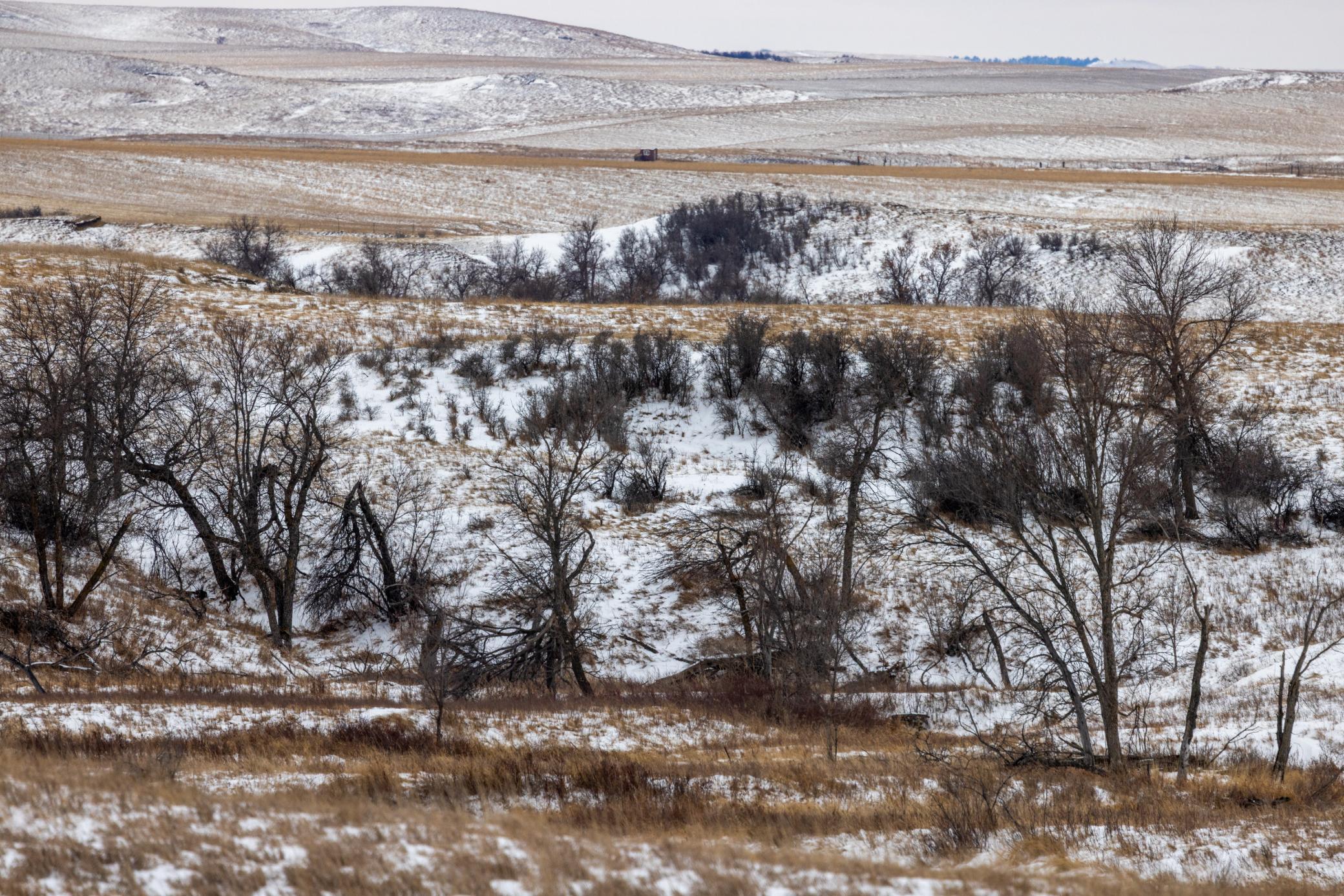 land for sale at TBD 49 St SW 212a in Hebron, ND (photo 3 of 47)