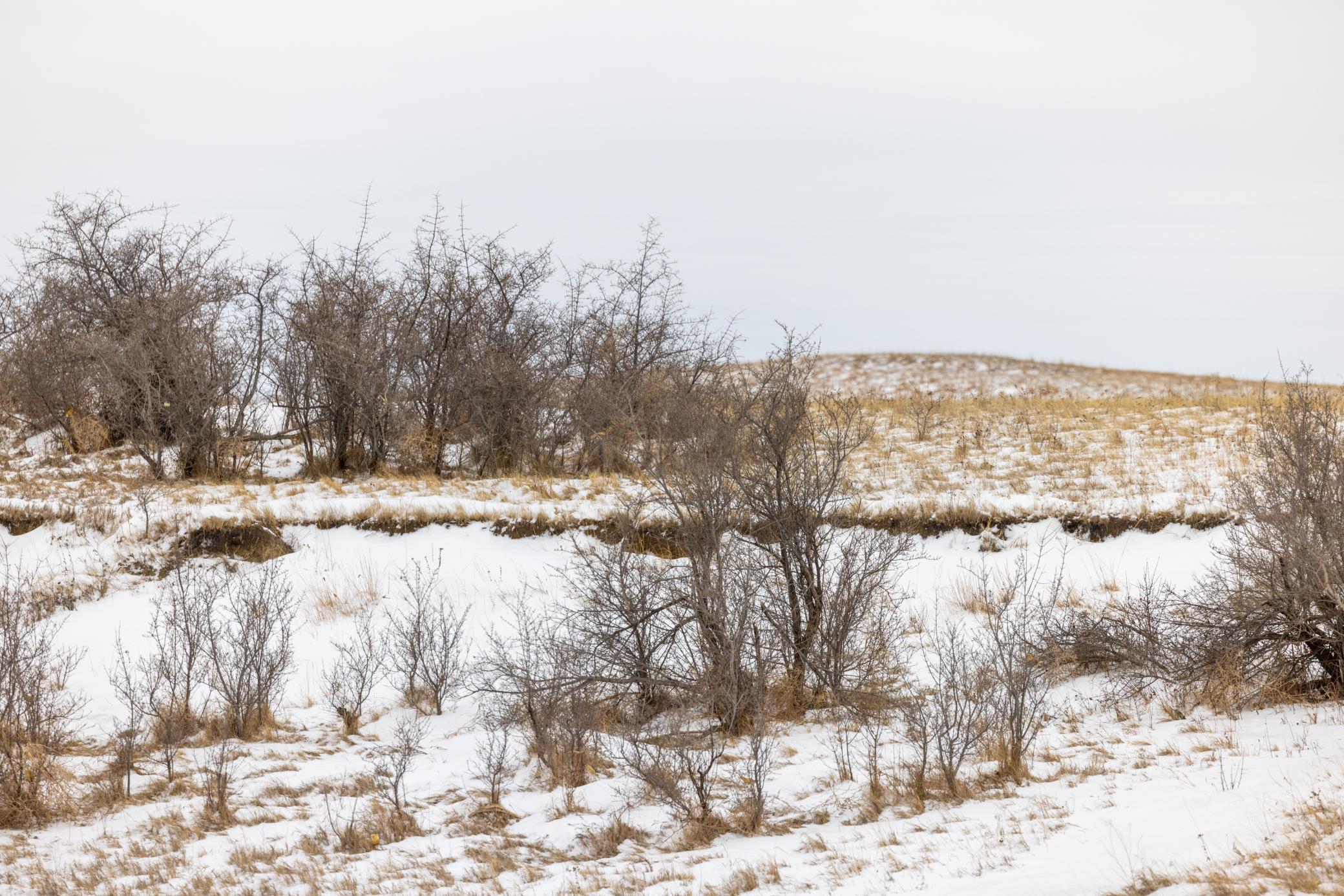 land for sale at TBD 49 St SW 212a in Hebron, ND (photo 40 of 47)