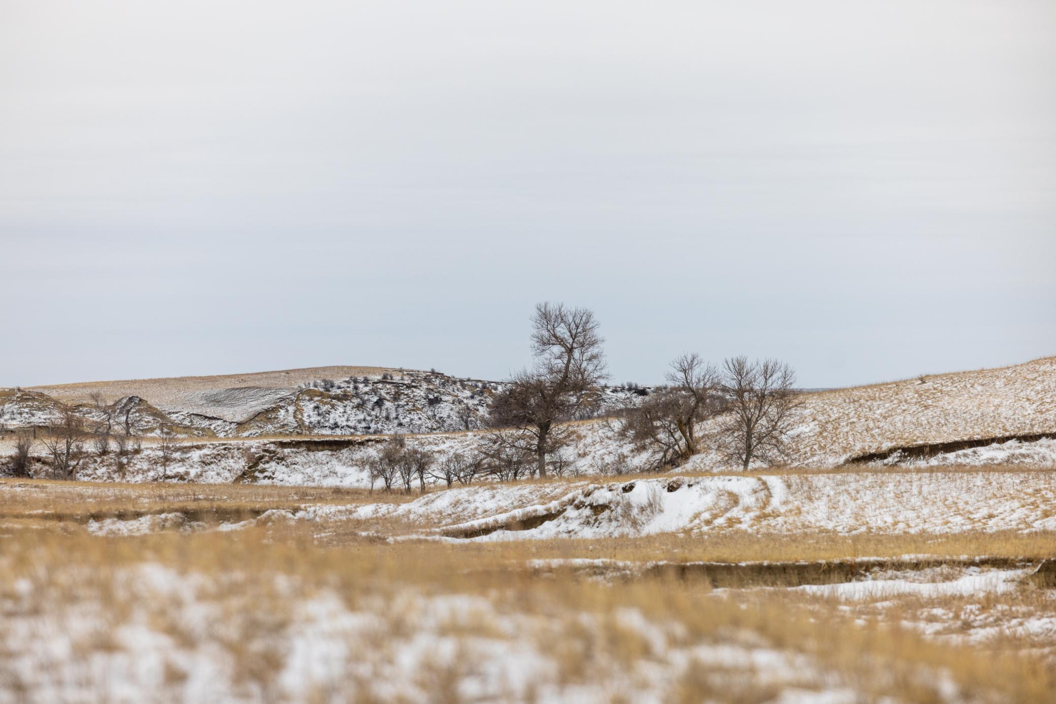 land for sale at TBD 49 St SW 212a in Hebron, ND (photo 41 of 47)