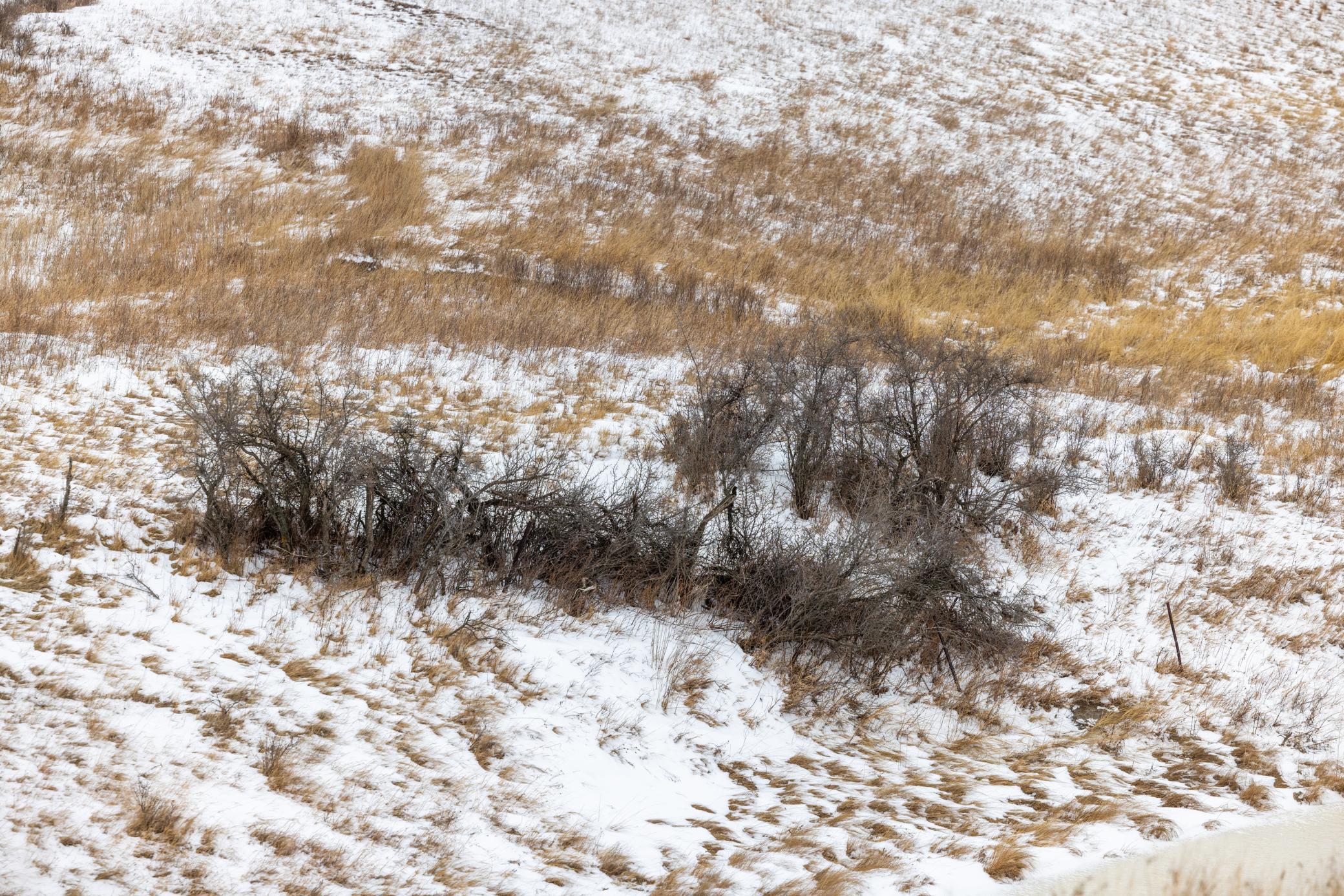 land for sale at TBD 49 St SW 212a in Hebron, ND (photo 43 of 47)