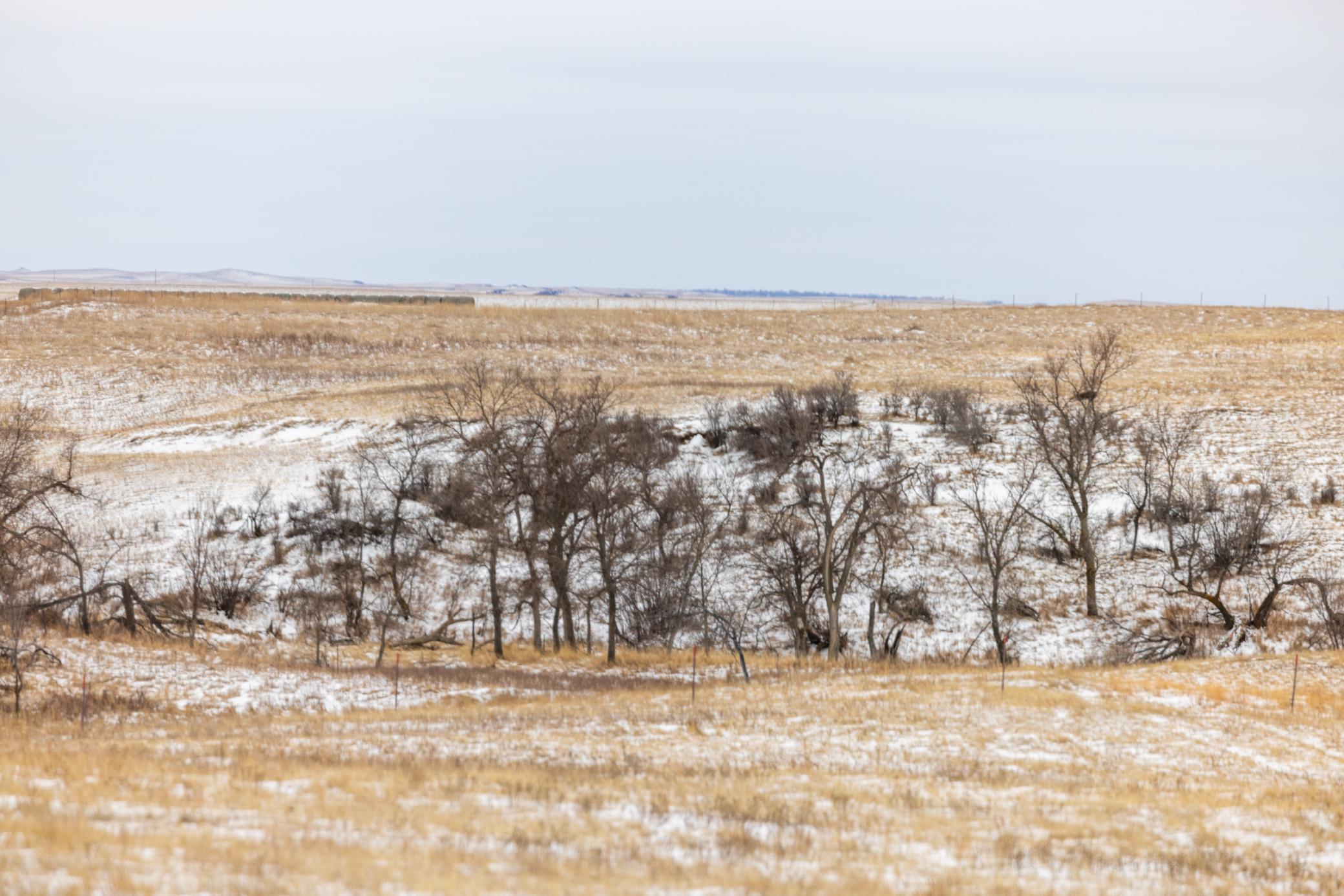 land for sale at TBD 49 St SW 212a in Hebron, ND (photo 45 of 47)