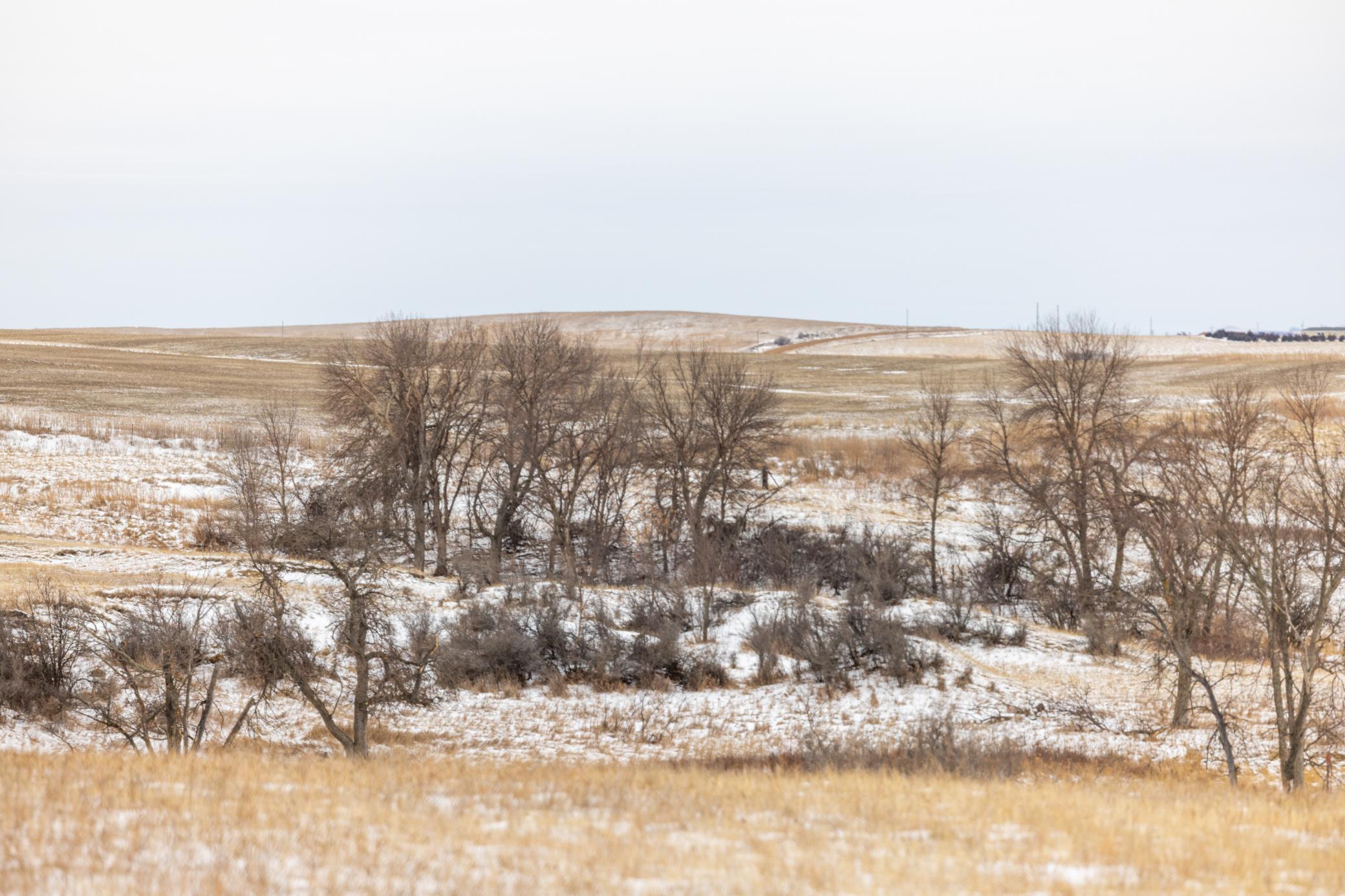 land for sale at TBD 49 St SW 212a in Hebron, ND (photo 46 of 47)