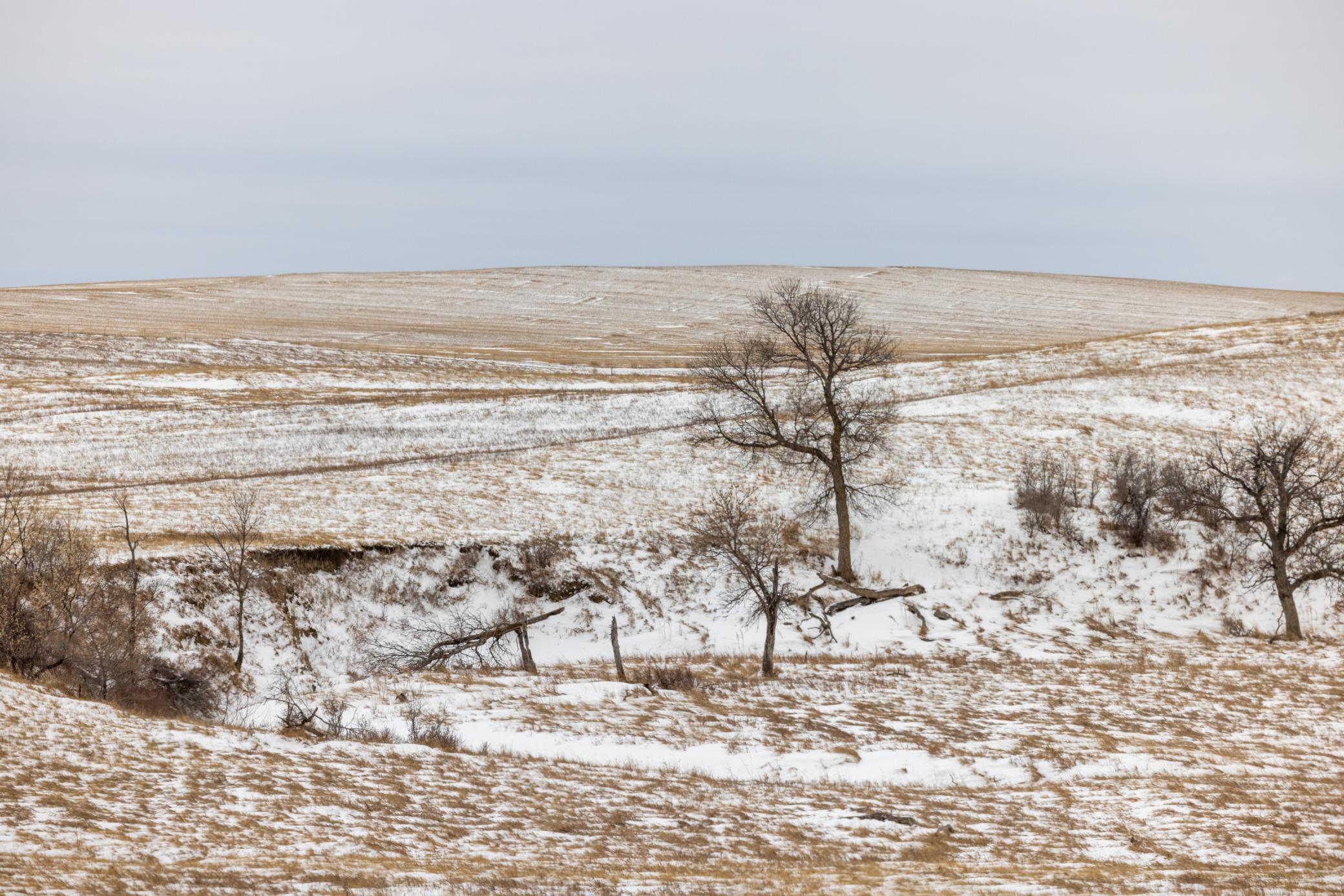 land for sale at TBD 49 St SW 212a in Hebron, ND (photo 47 of 47)