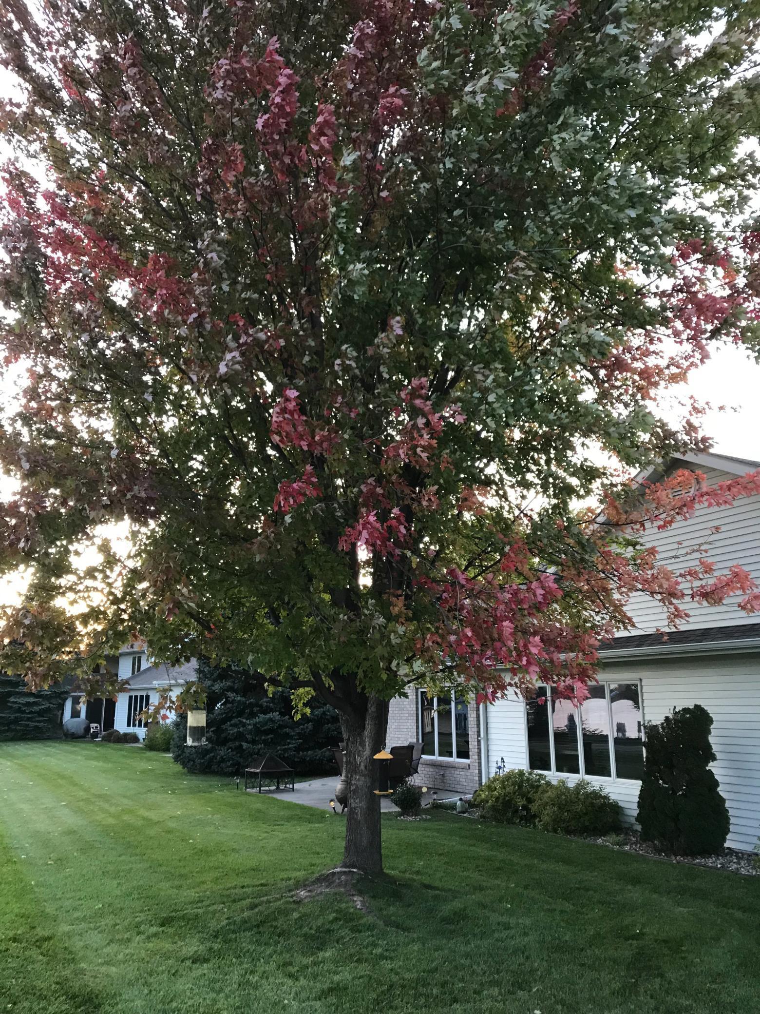 1999 condo for sale at 1960 Long Bridge Road in Detroit Lakes, MN — 2 bed, 2 bath (photo 6 of 64)