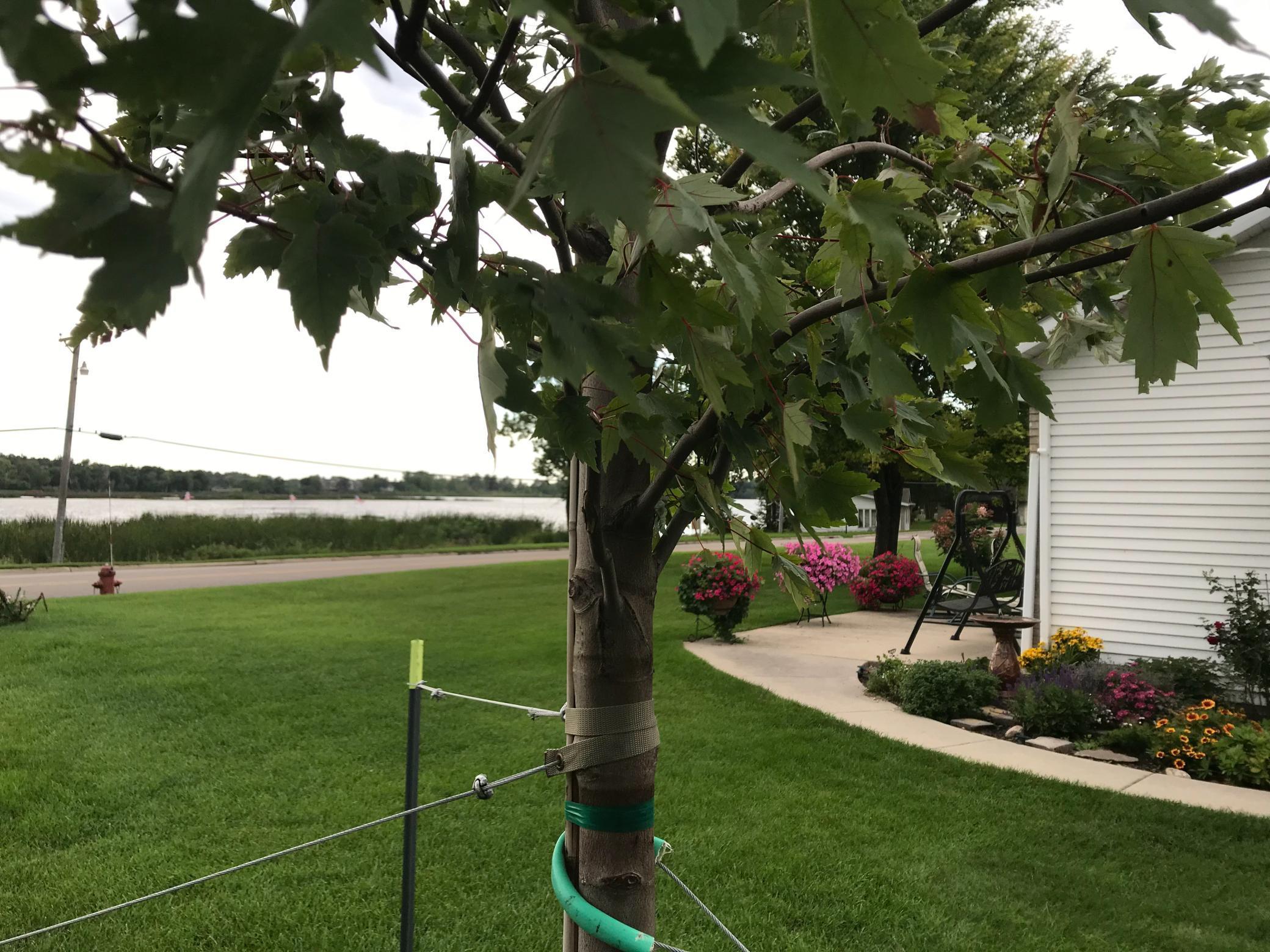 1999 condo for sale at 1960 Long Bridge Road in Detroit Lakes, MN — 2 bed, 2 bath (photo 52 of 64)