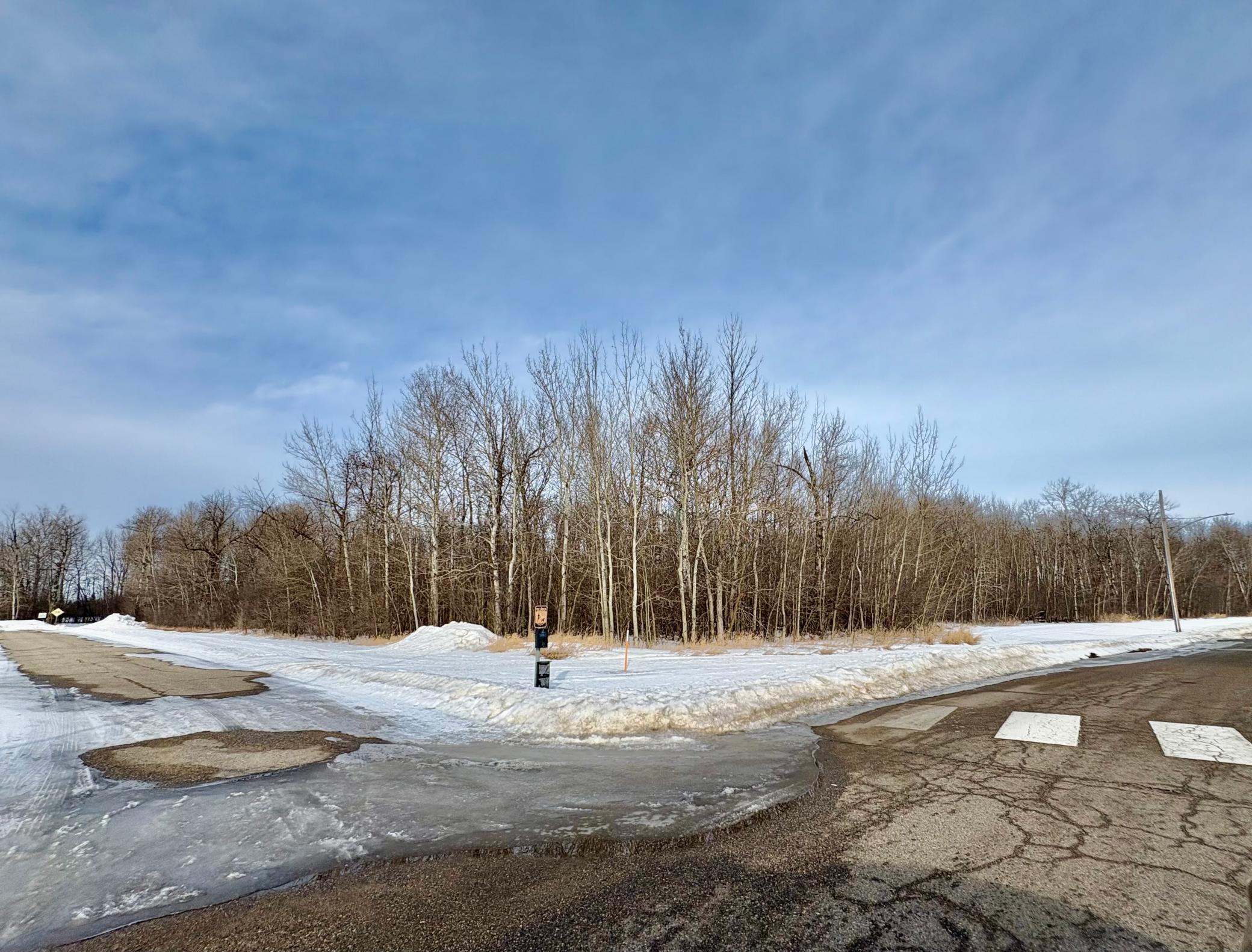 land for sale at TBD Gladys St NE in Warroad, MN (photo 2 of 11)