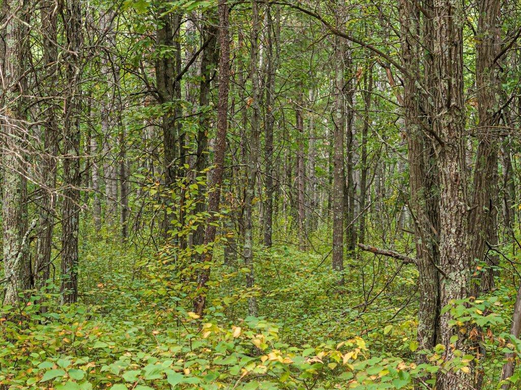 Lot D Sandbar Lane, Merrifield MN 56465 - Photo 2 of 24