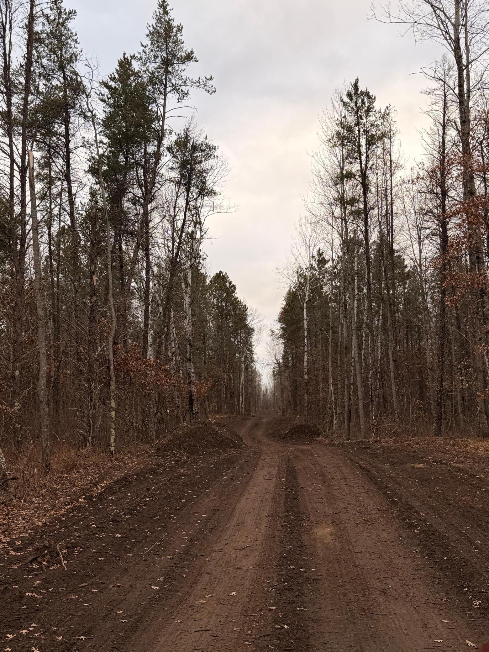 Lot D Sandbar Lane, Merrifield MN 56465 - Photo 21 of 24