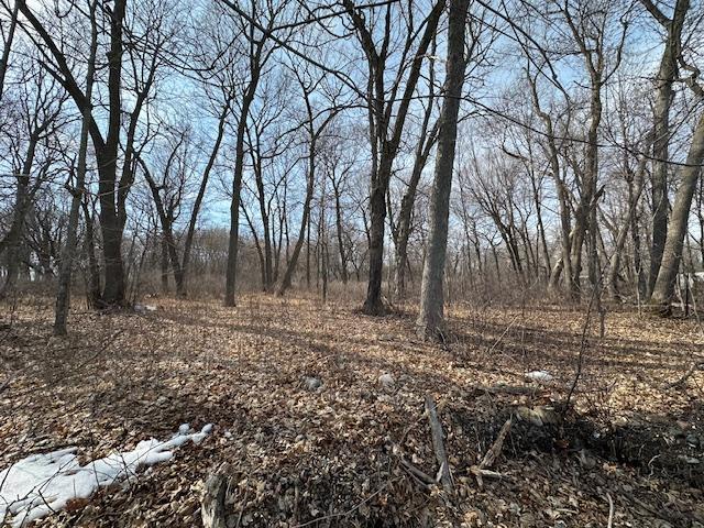 TBD Ottertail Point Drive NW, Cass Lake MN 56633 - Photo 17 of 25