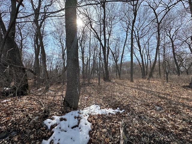 TBD Ottertail Point Drive NW, Cass Lake MN 56633 - Photo 18 of 25