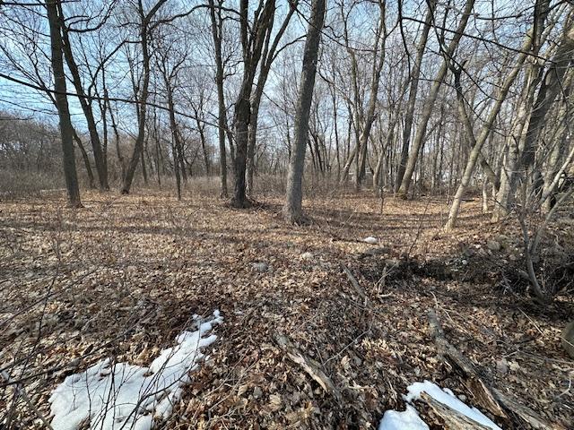 TBD Ottertail Point Drive NW, Cass Lake MN 56633 - Photo 19 of 25