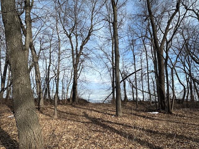 TBD Ottertail Point Drive NW, Cass Lake MN 56633 - Photo 21 of 25