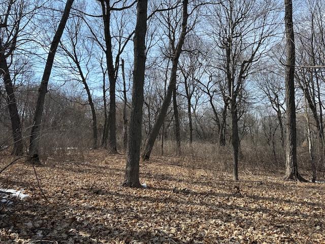 TBD Ottertail Point Drive NW, Cass Lake MN 56633 - Photo 23 of 25