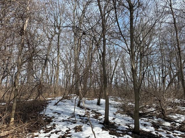 TBD Ottertail Point Drive NW, Cass Lake MN 56633 - Photo 24 of 25