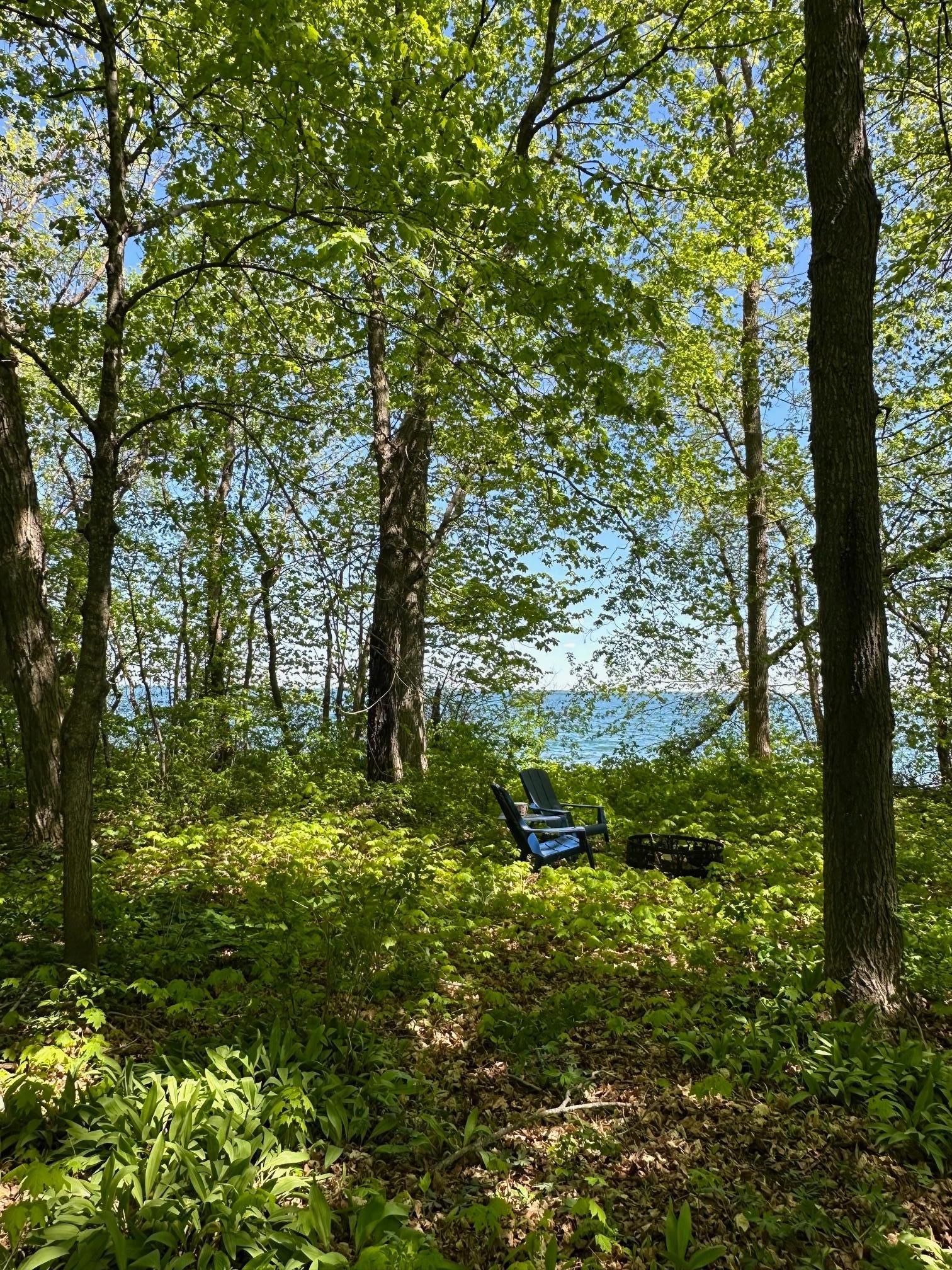 TBD Ottertail Point Drive NW, Cass Lake MN 56633 - Photo 5 of 25
