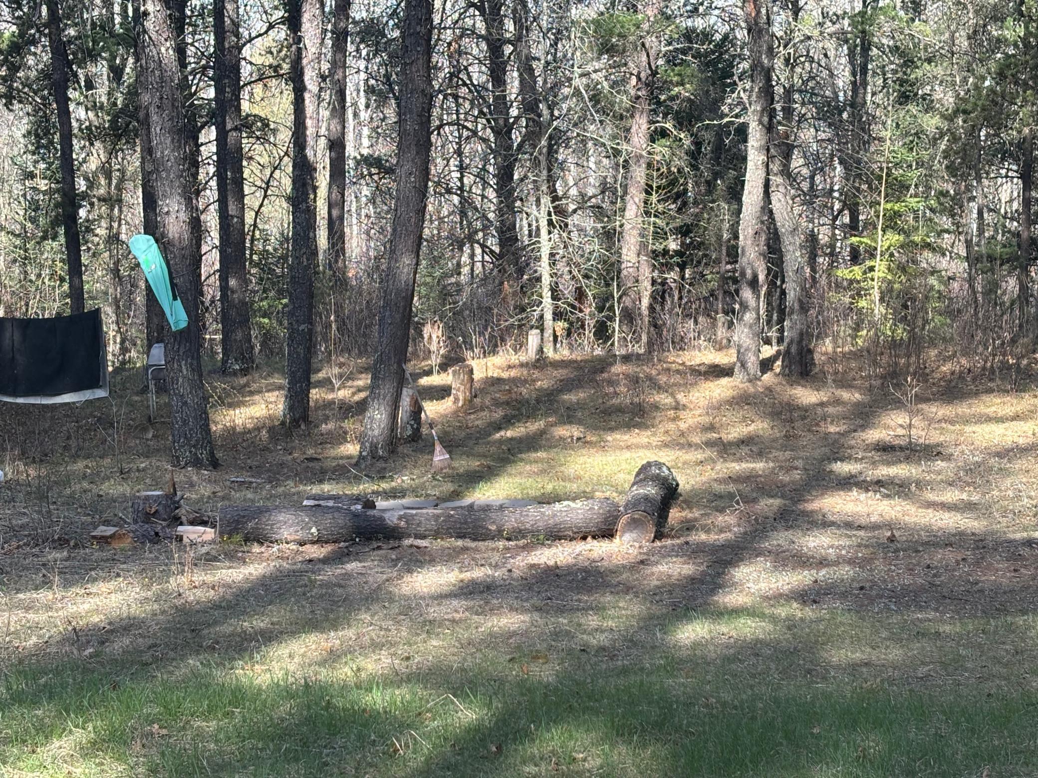 land for sale at TBD Arbor Road in Park Rapids, MN
