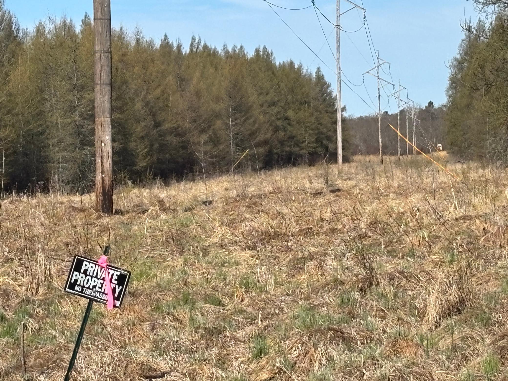 land for sale at TBD Arbor Road in Park Rapids, MN (photo 14 of 35)