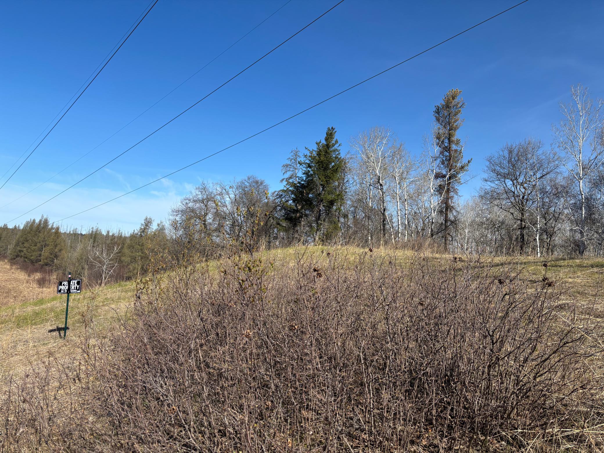 land for sale at TBD Arbor Road in Park Rapids, MN (photo 18 of 35)