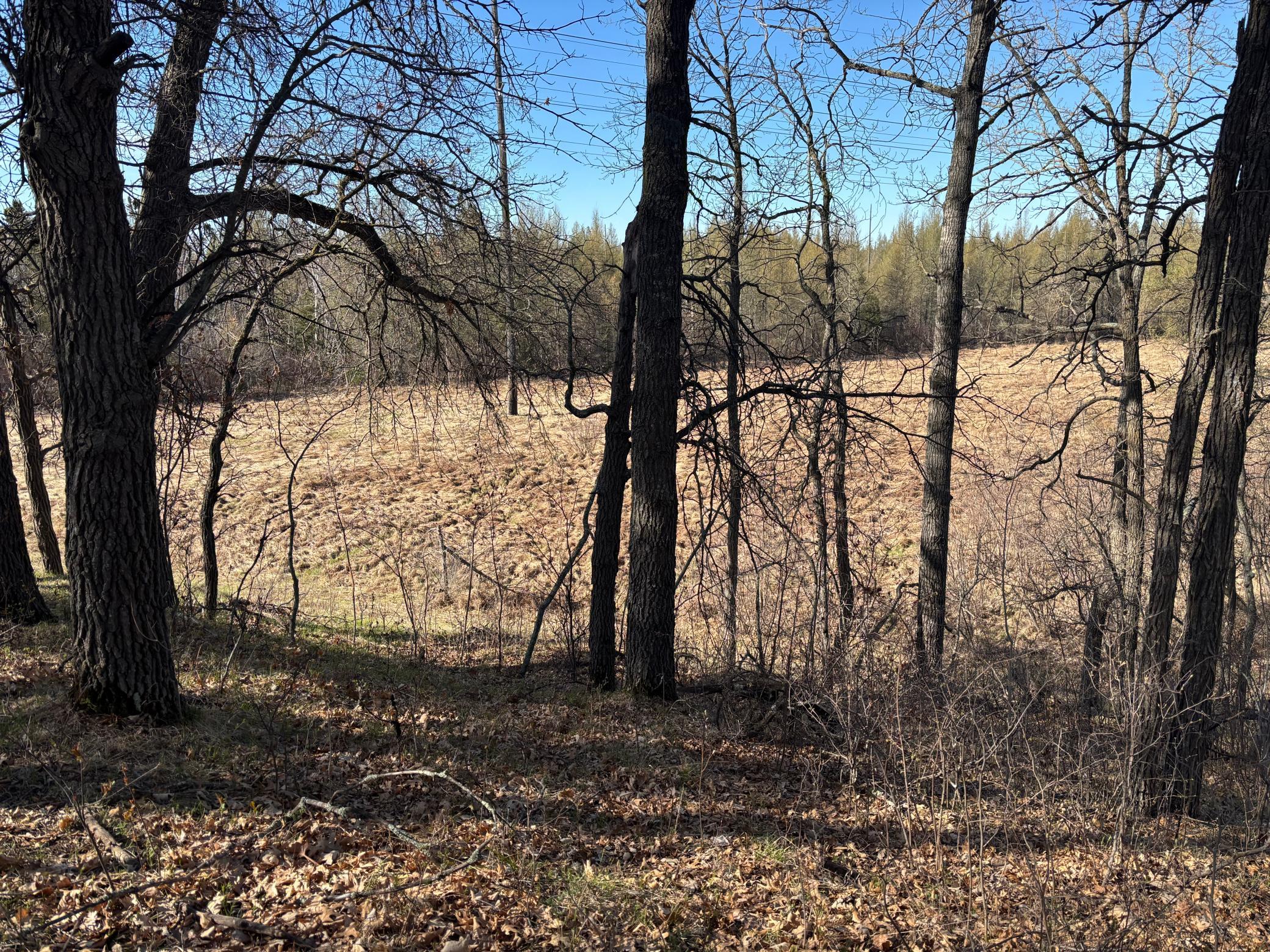 land for sale at TBD Arbor Road in Park Rapids, MN (photo 20 of 35)