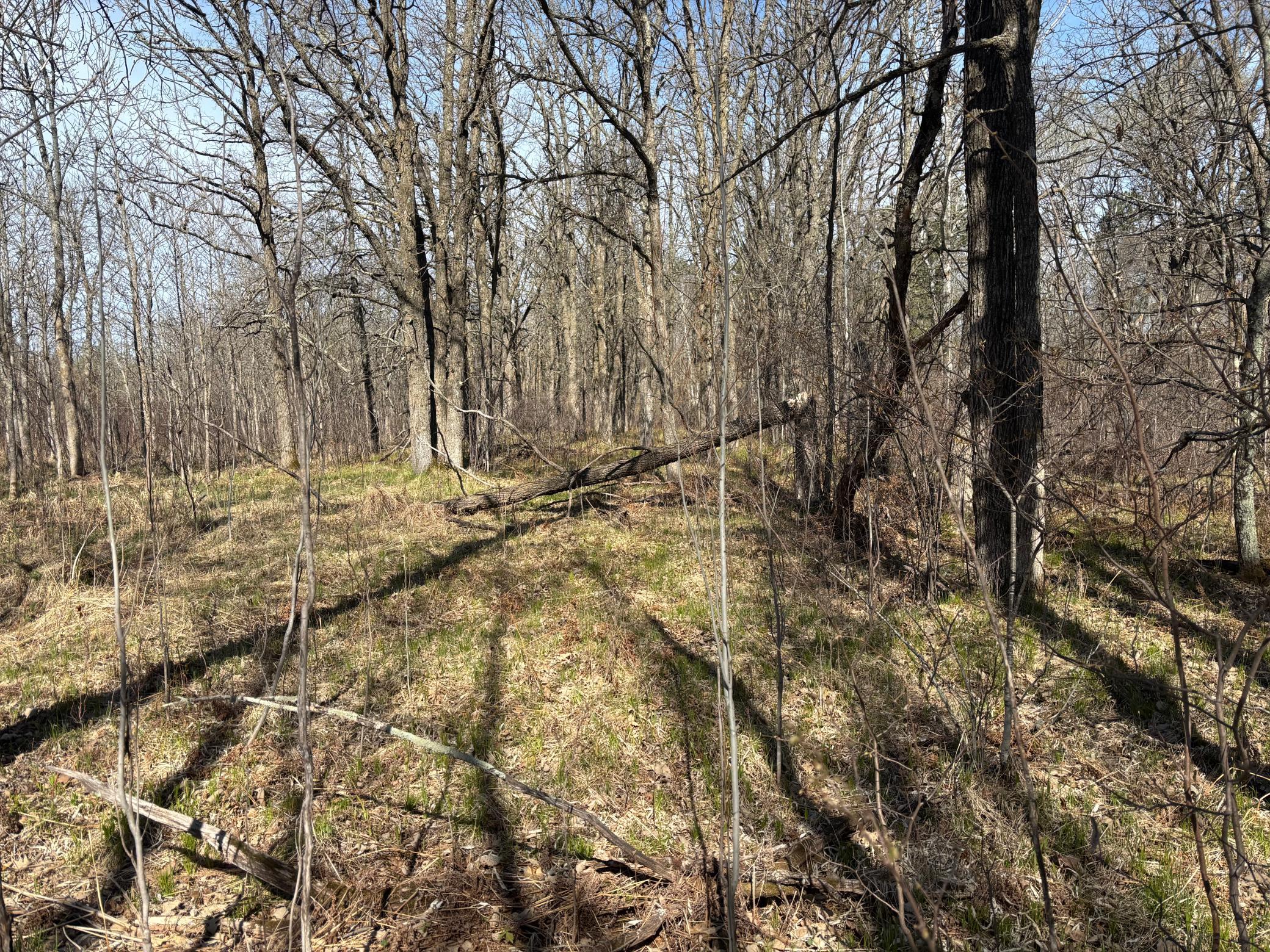 land for sale at TBD Arbor Road in Park Rapids, MN (photo 26 of 35)