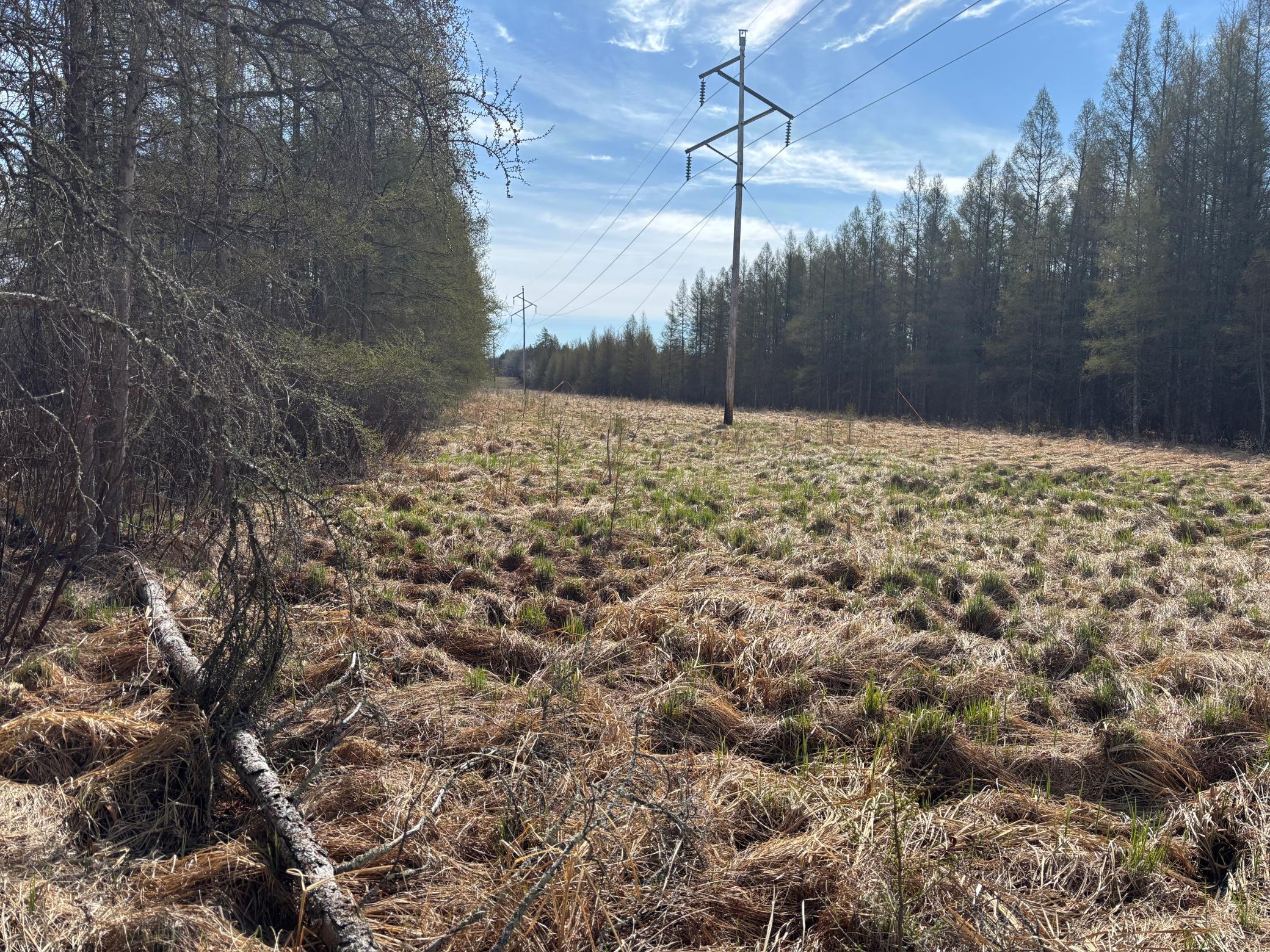 land for sale at TBD Arbor Road in Park Rapids, MN (photo 28 of 35)