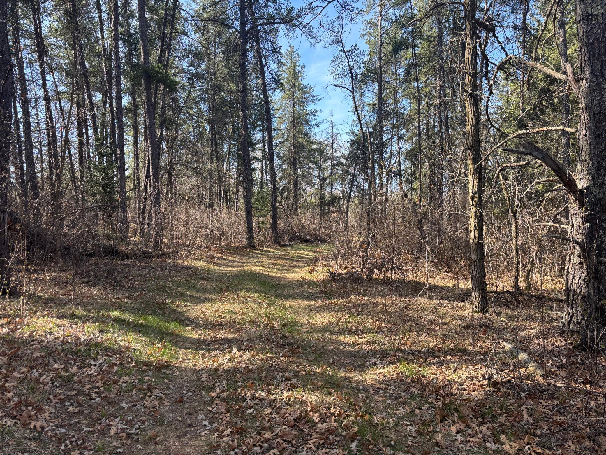 land for sale at TBD Arbor Road in Park Rapids, MN (photo 5 of 35)