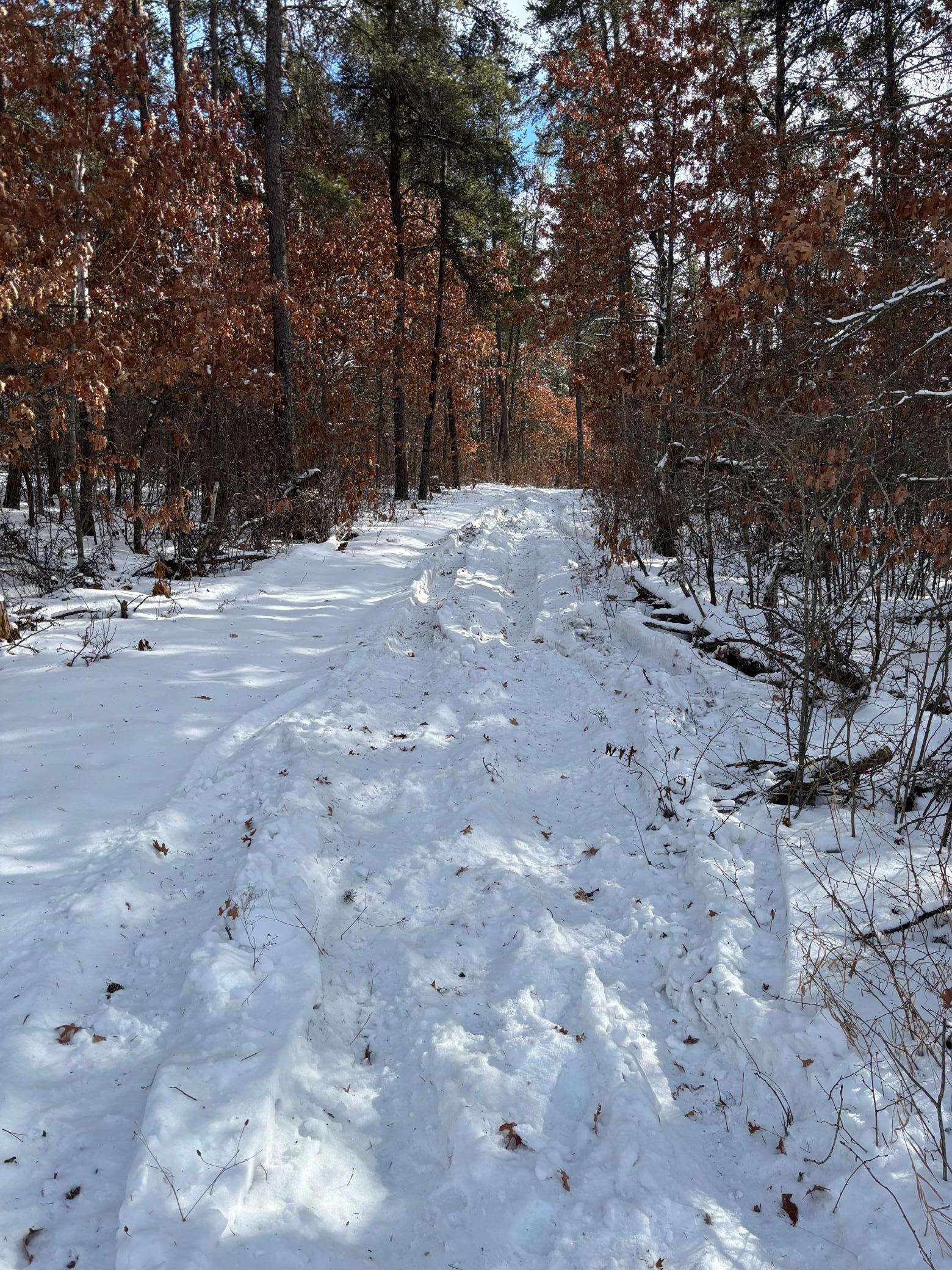 land for sale at TBD Arbor Road in Park Rapids, MN (photo 6 of 35)