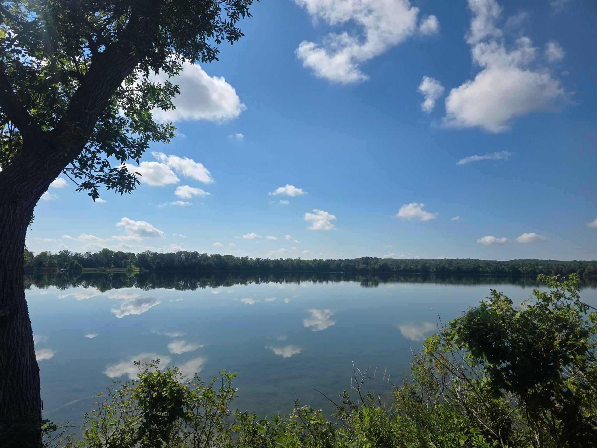 TBD 4/5 Lots 317th St, Underwood MN 56586 - Photo 46 of 47