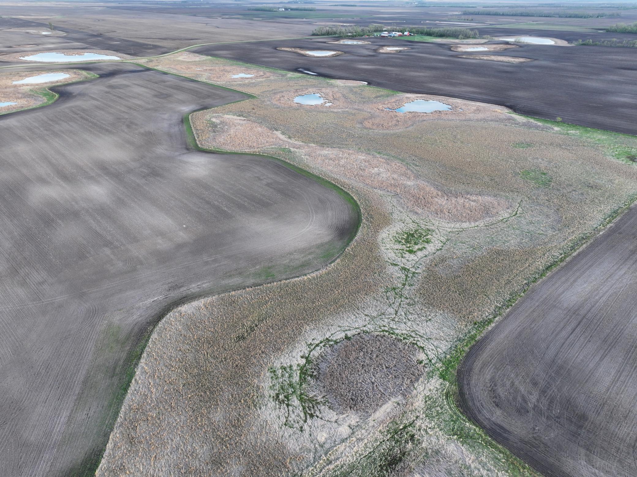 land for sale at TBD TBD County Hwy 10 in Hope, ND (photo 11 of 22)