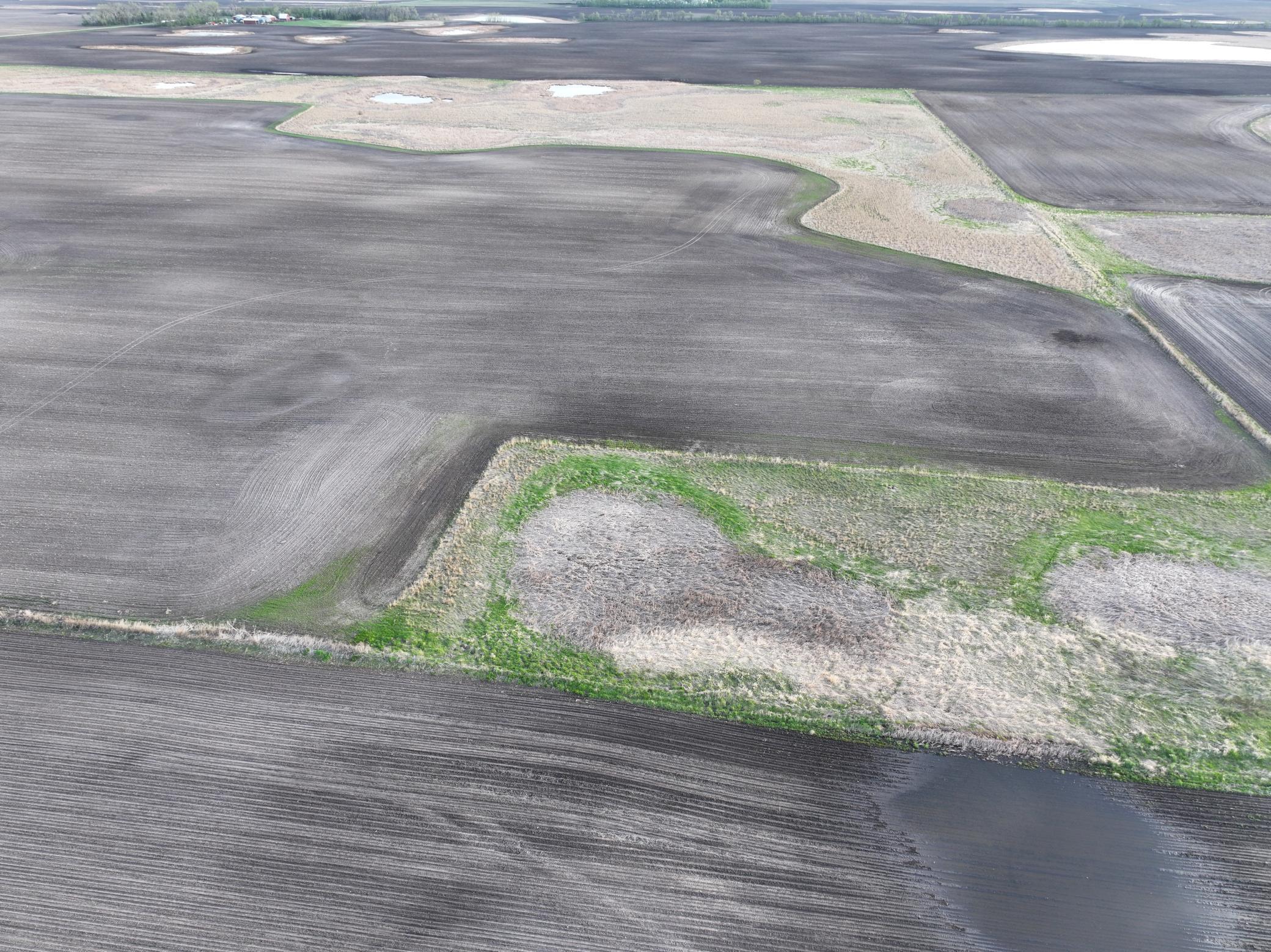 land for sale at TBD TBD County Hwy 10 in Hope, ND (photo 13 of 22)