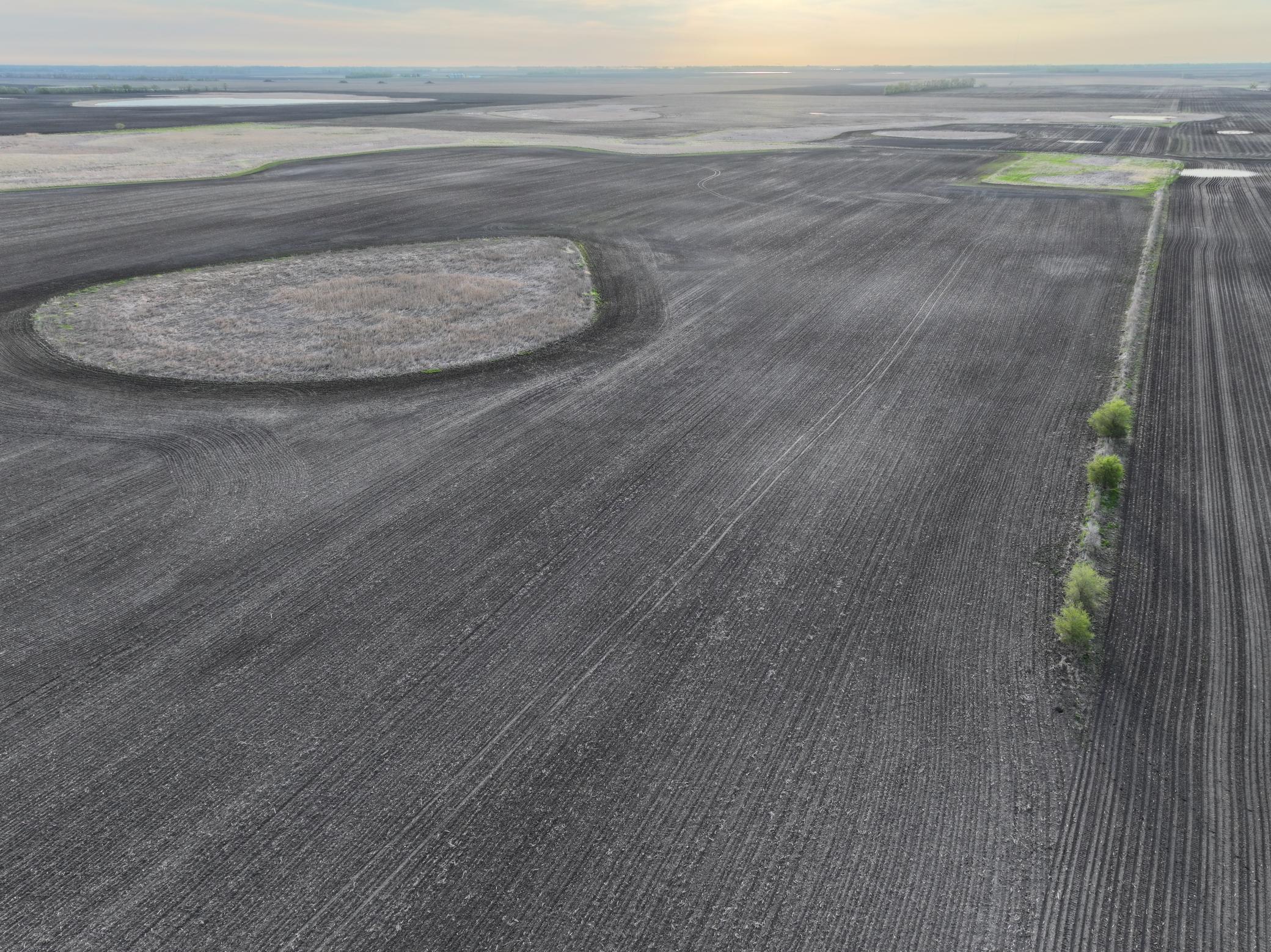 land for sale at TBD TBD County Hwy 10 in Hope, ND (photo 15 of 22)