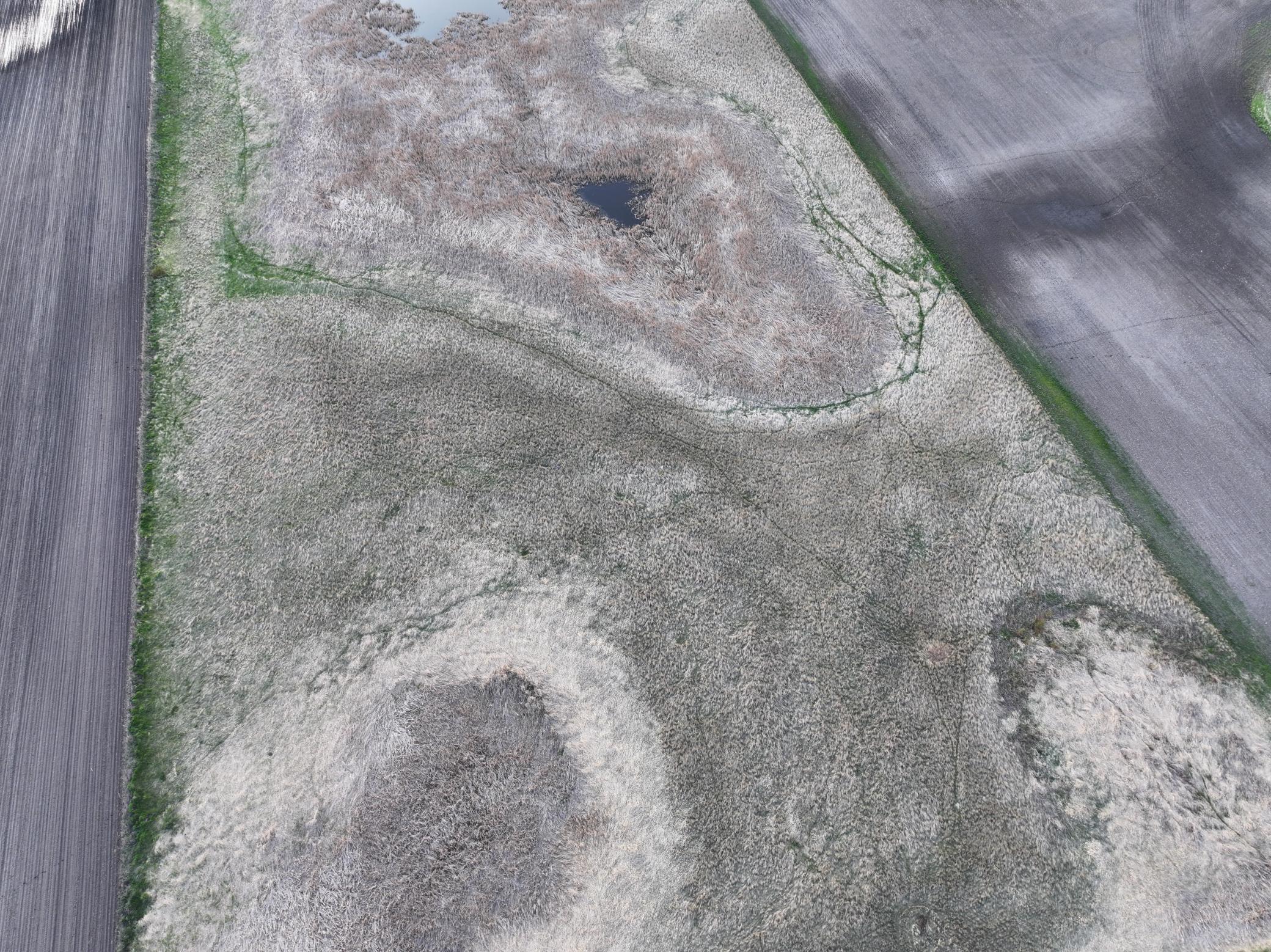 land for sale at TBD TBD County Hwy 10 in Hope, ND (photo 4 of 22)