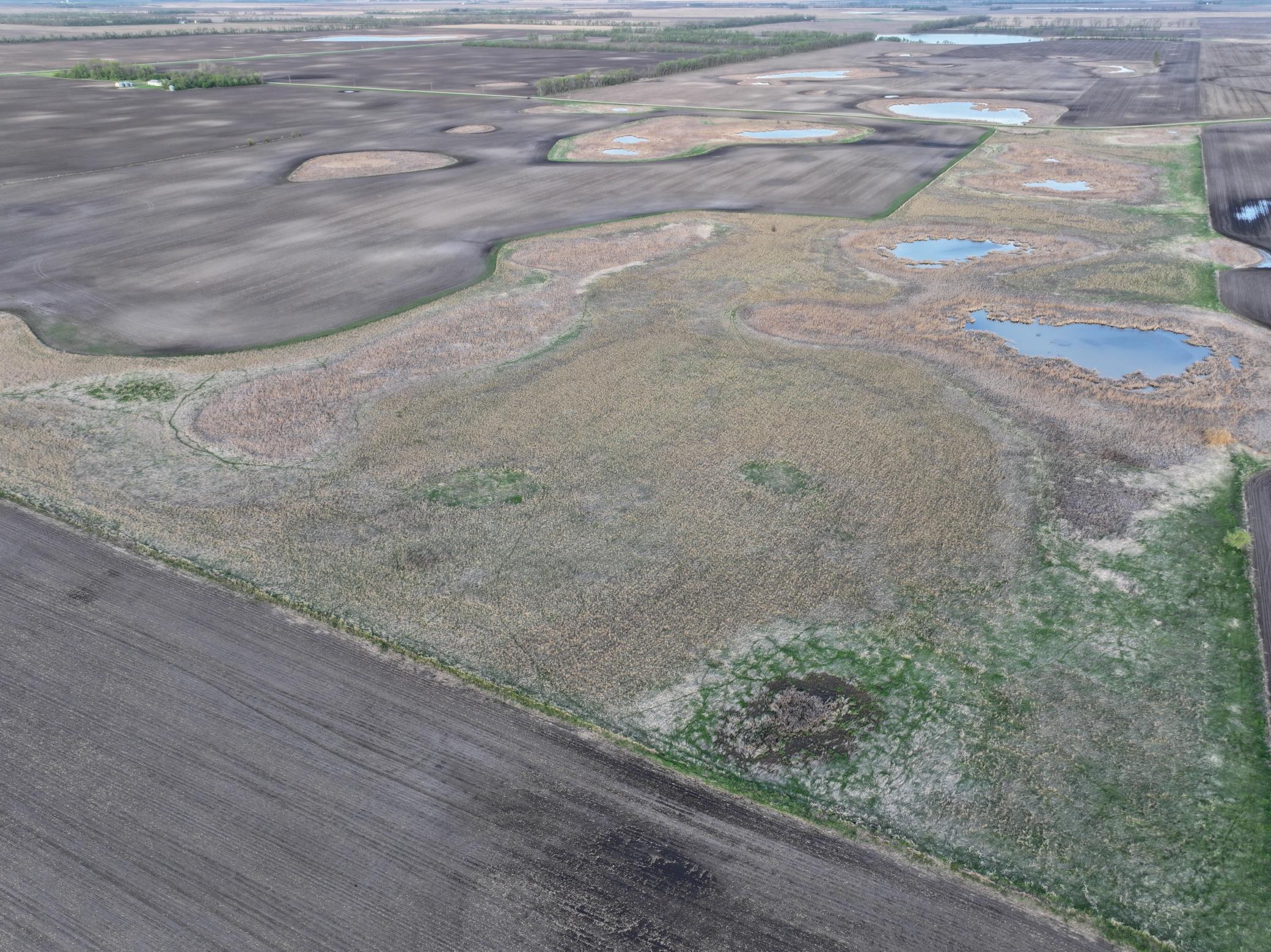 land for sale at TBD TBD County Hwy 10 in Hope, ND (photo 9 of 22)