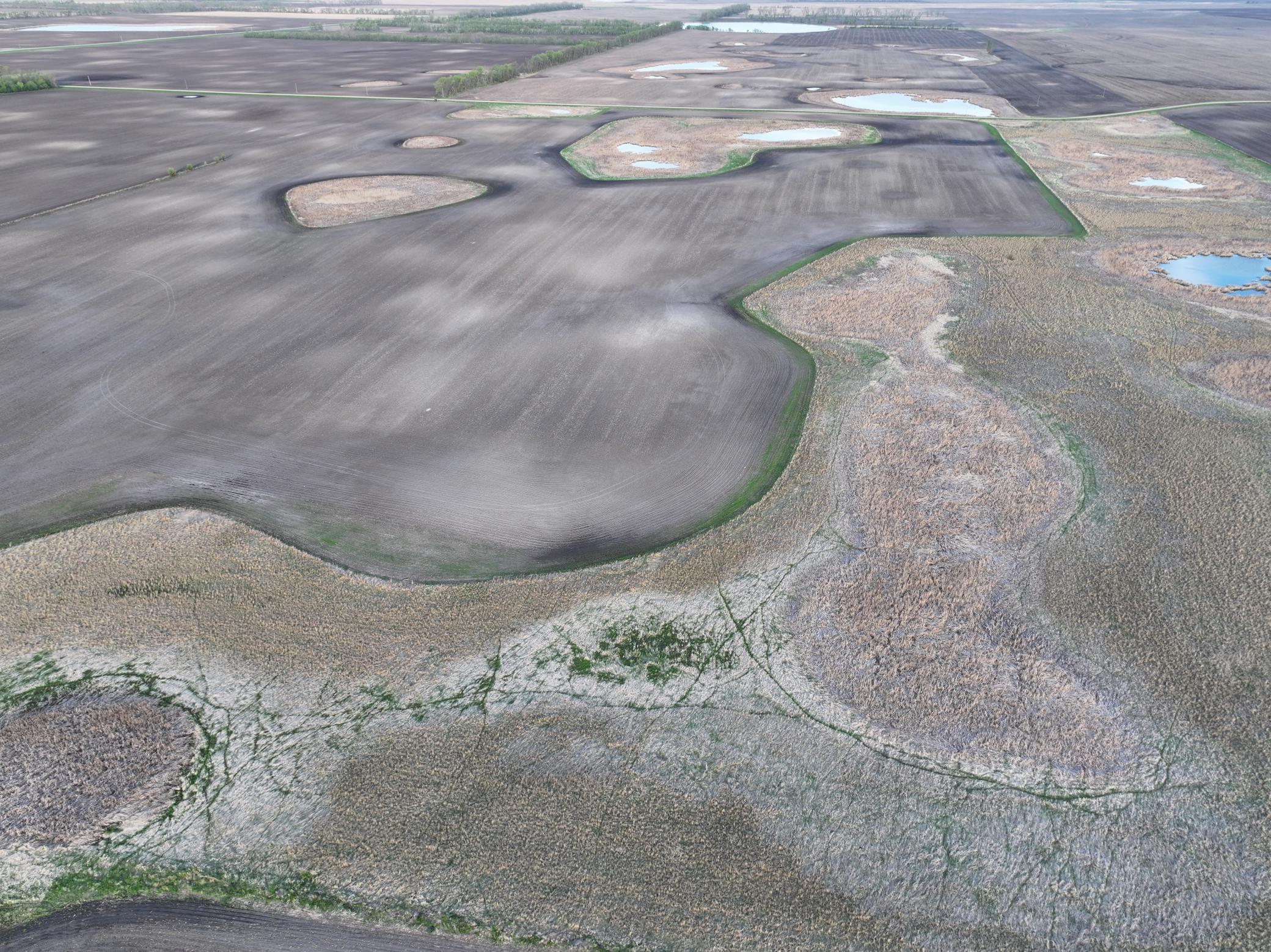 land for sale at TBD TBD County Hwy 10 in Hope, ND (photo 10 of 22)