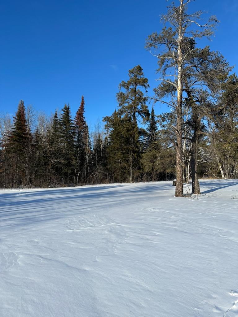 land for sale at TBD State Highway 11 in Warroad, MN (photo 4 of 10)