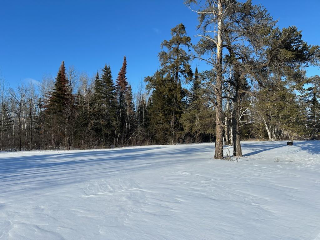 land for sale at TBD State Highway 11 in Warroad, MN (photo 5 of 10)