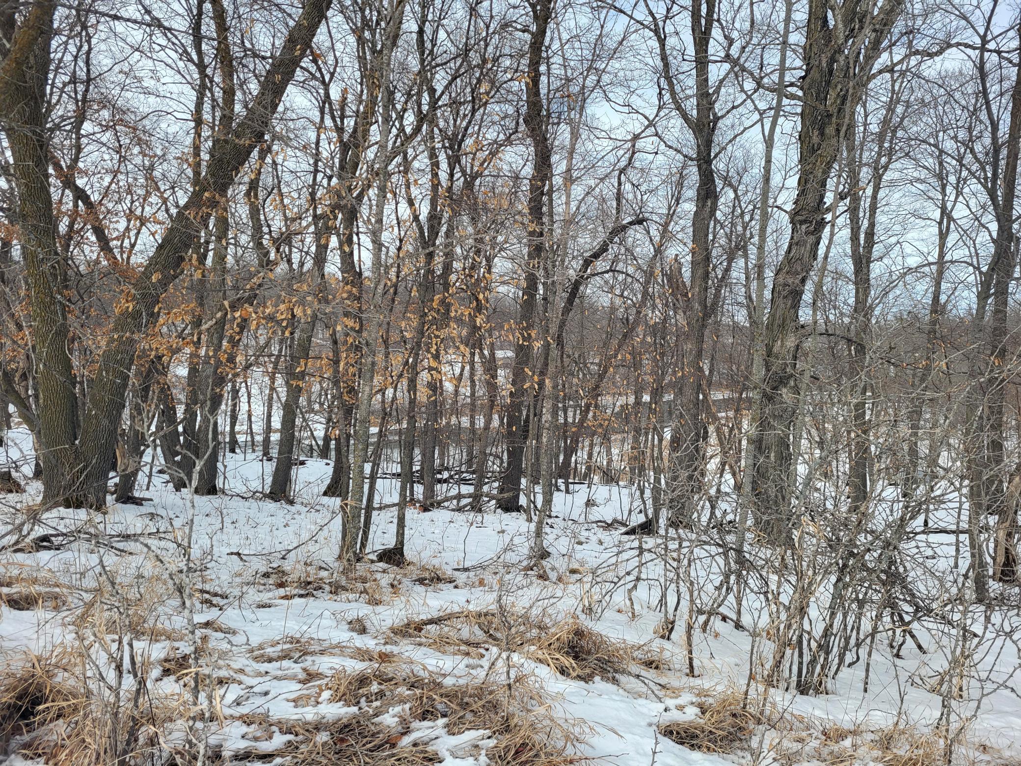 Lot 4 River Pointe Trail, Underwood MN 56586 - Photo 5 of 9