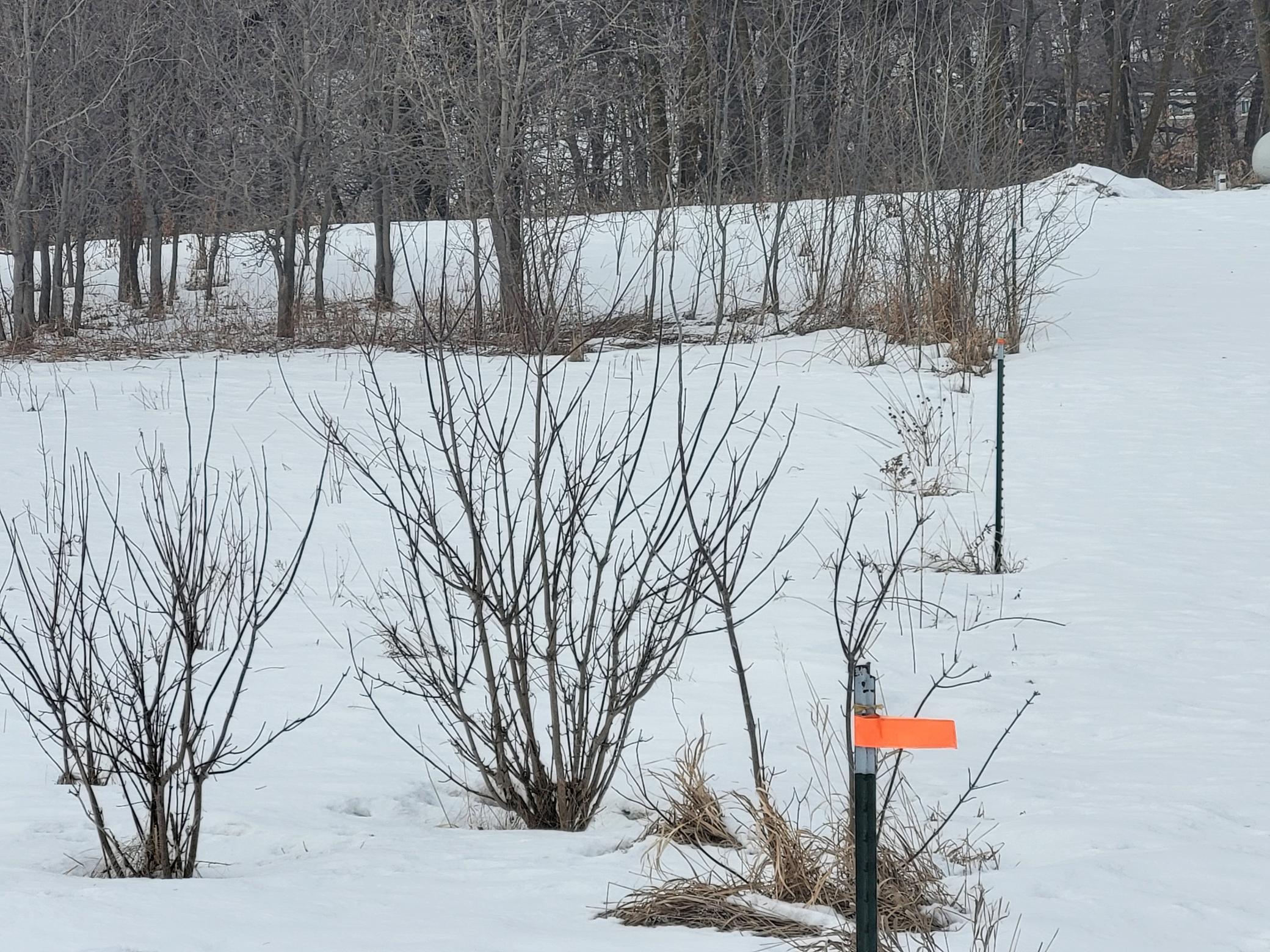 Lot 4 River Pointe Trail, Underwood MN 56586 - Photo 6 of 9