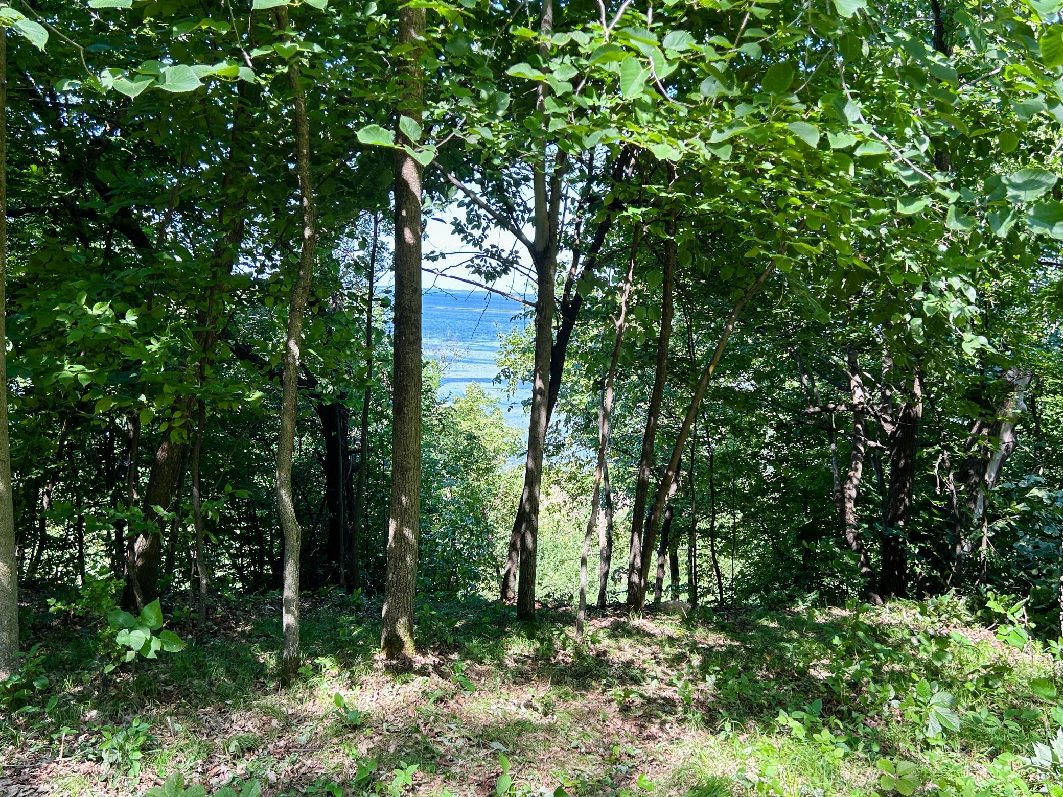 land for sale at 49137 360th Street in New York Mills, MN (photo 2 of 33)