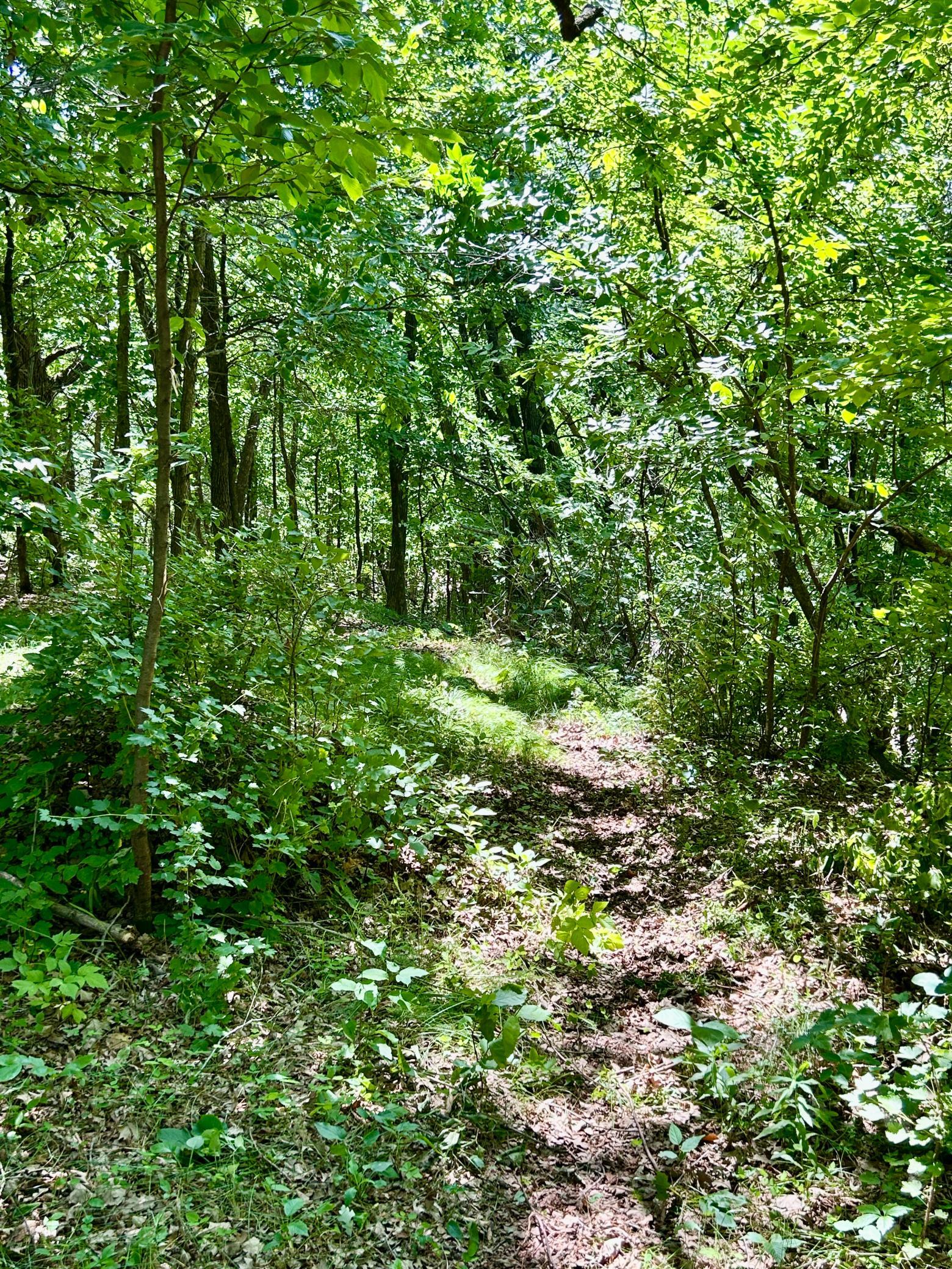 land for sale at 49137 360th Street in New York Mills, MN (photo 16 of 33)