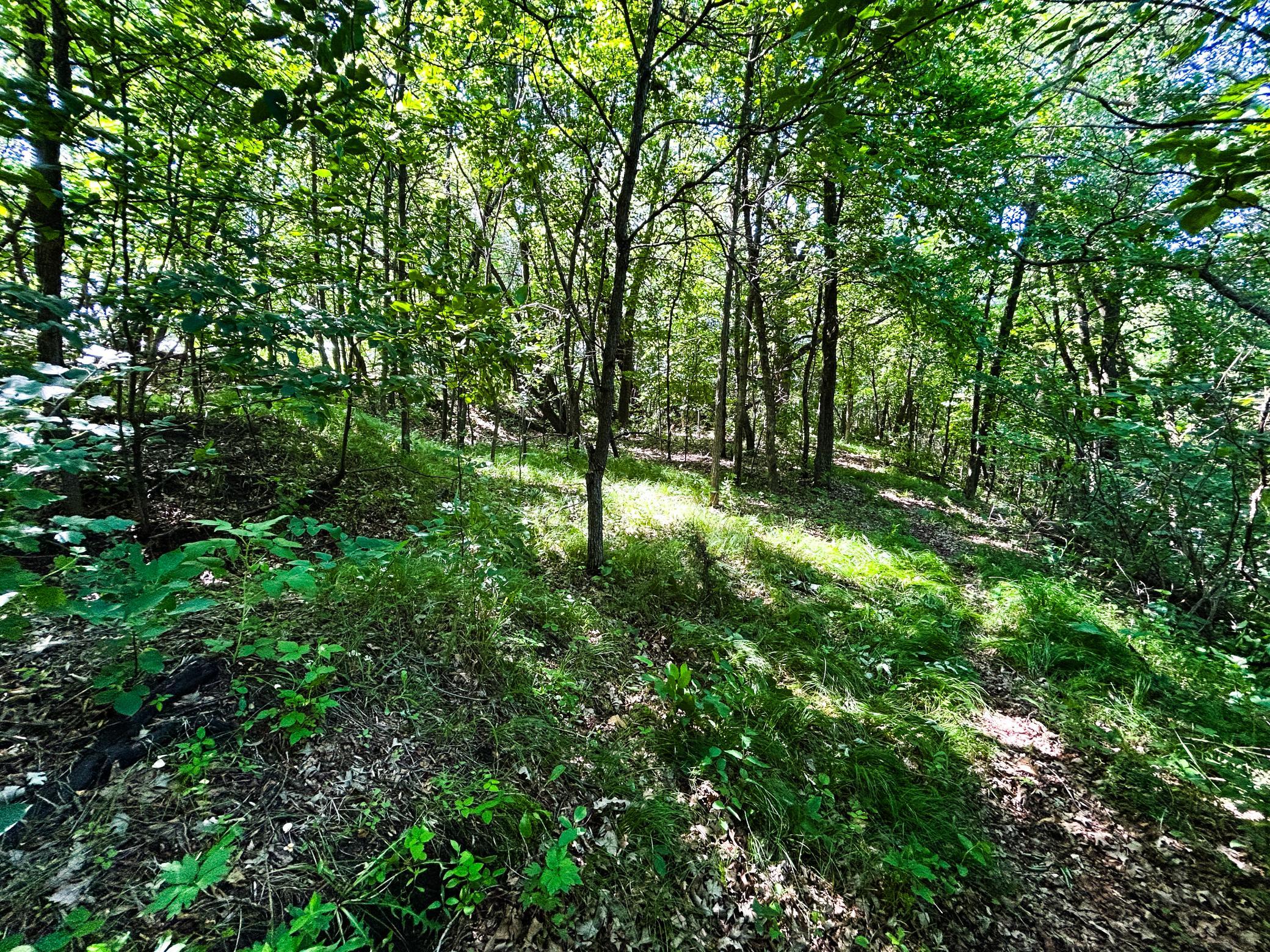 land for sale at 49137 360th Street in New York Mills, MN (photo 17 of 33)