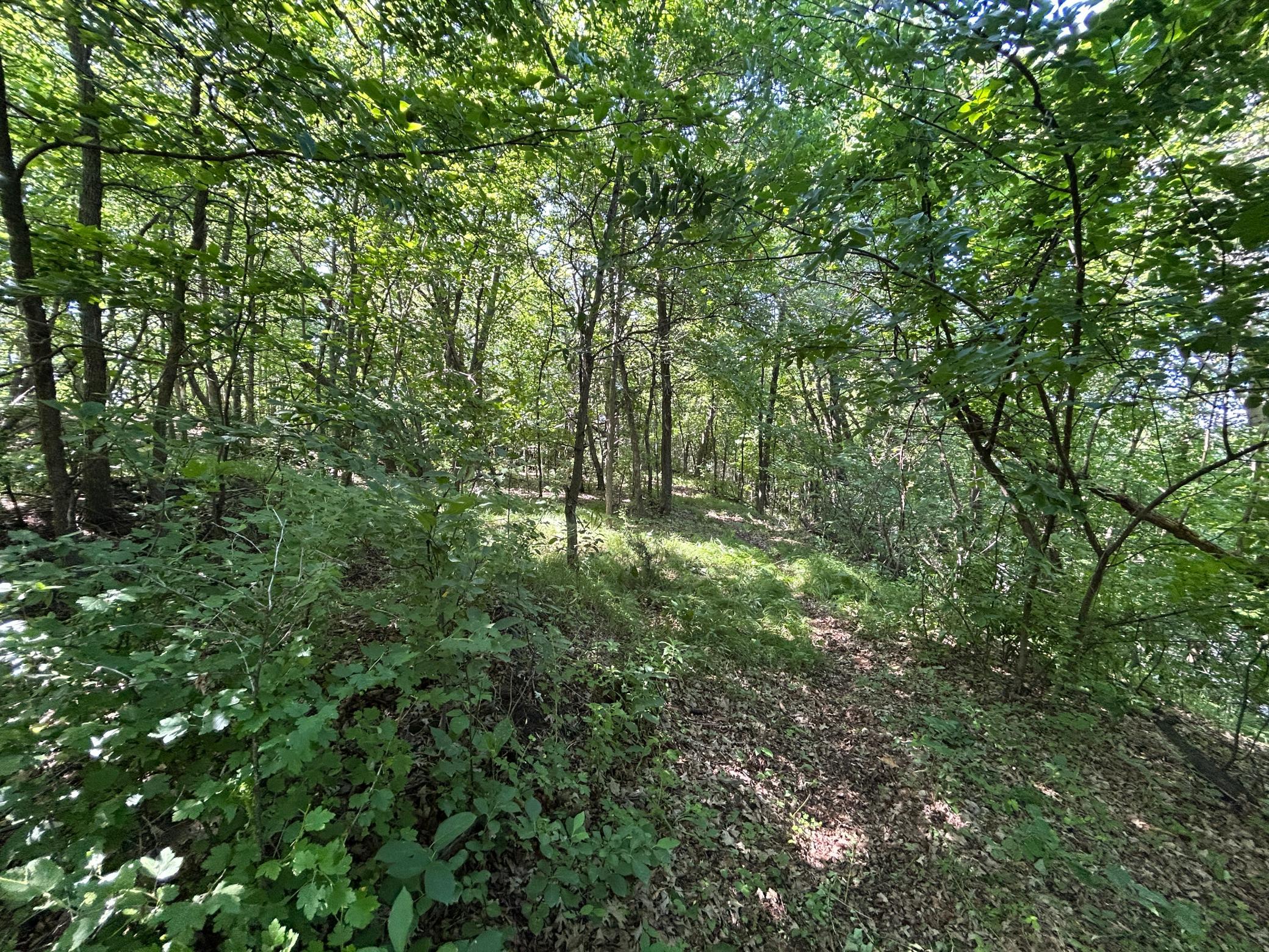 land for sale at 49137 360th Street in New York Mills, MN (photo 18 of 33)